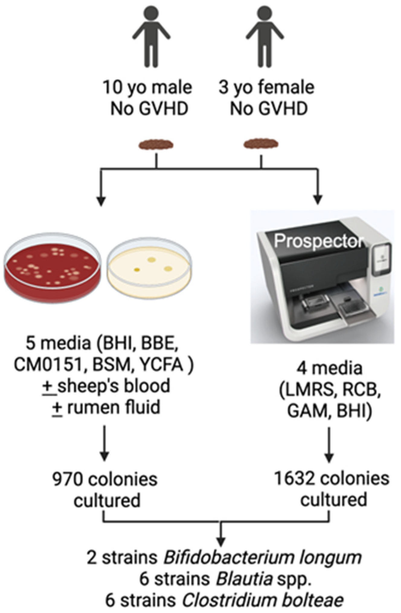 Microorganisms 13 00706 g001