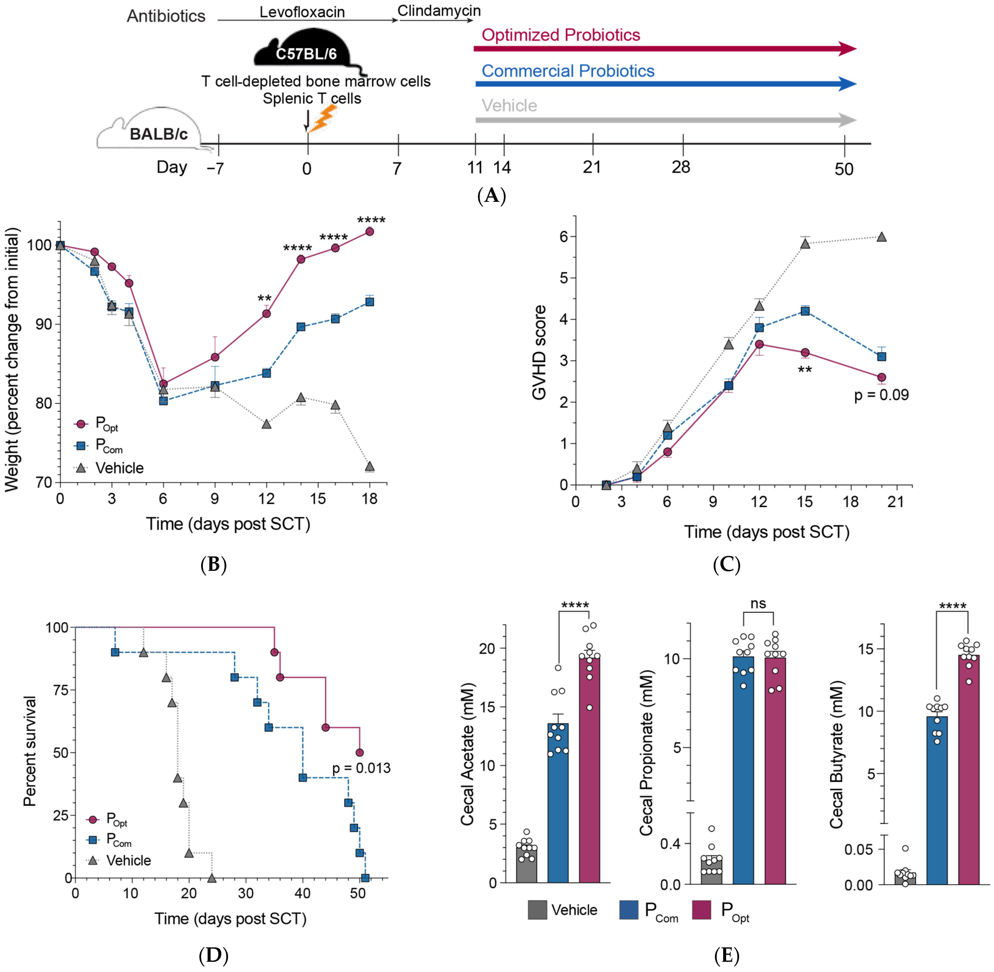 Microorganisms 13 00706 g004