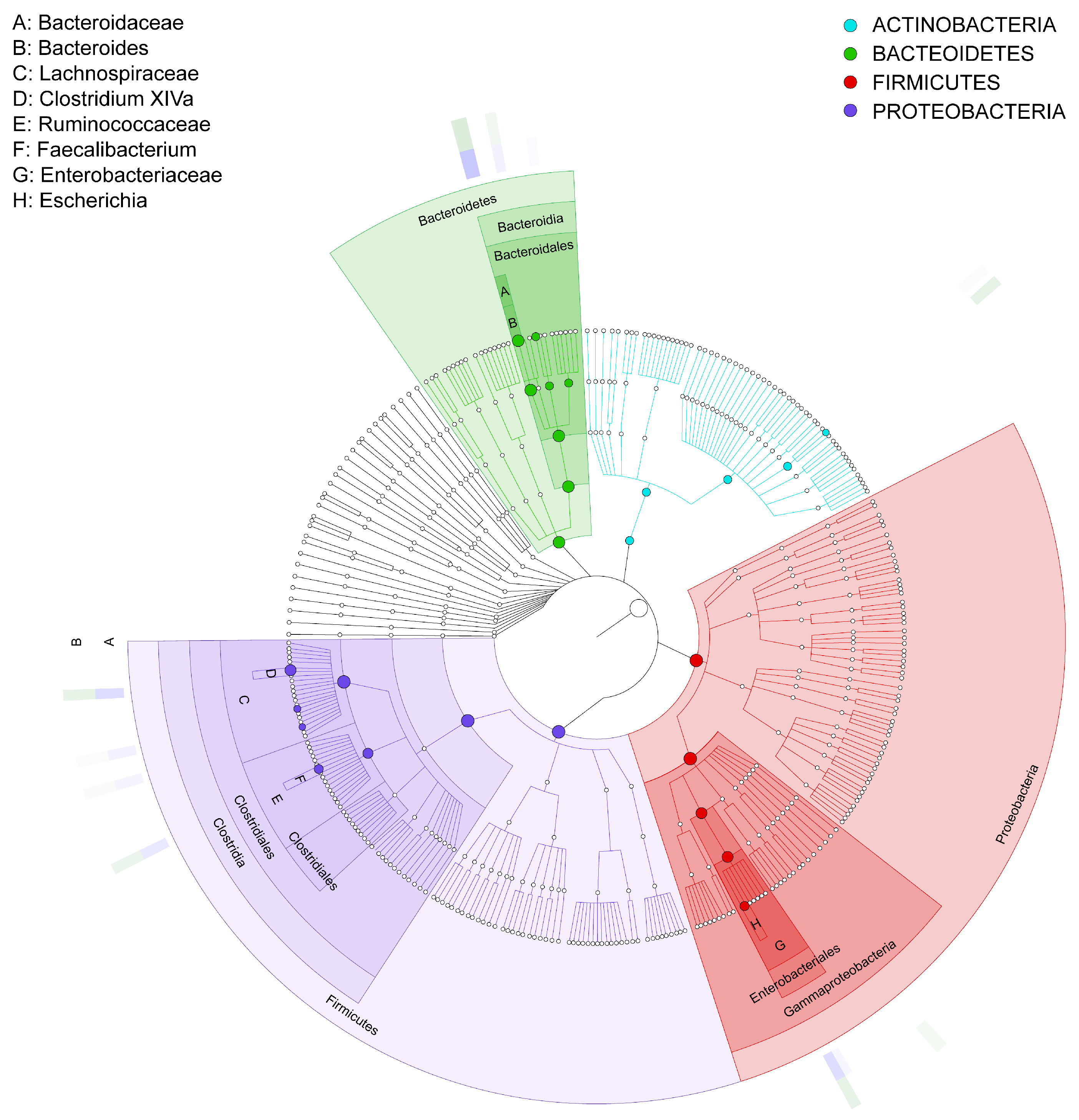 Microorganisms 13 00710 g007