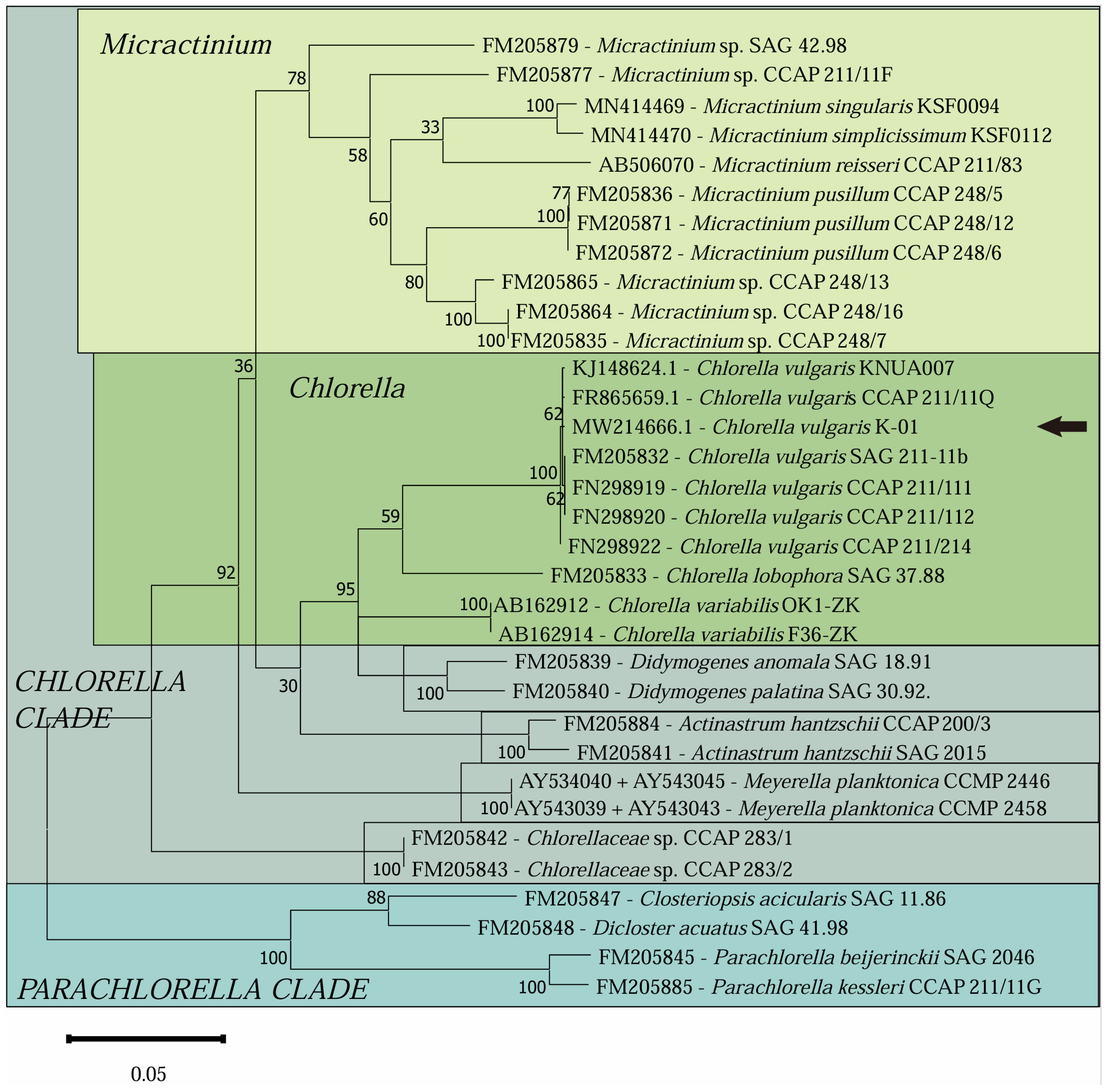 Microorganisms 13 00711 g001