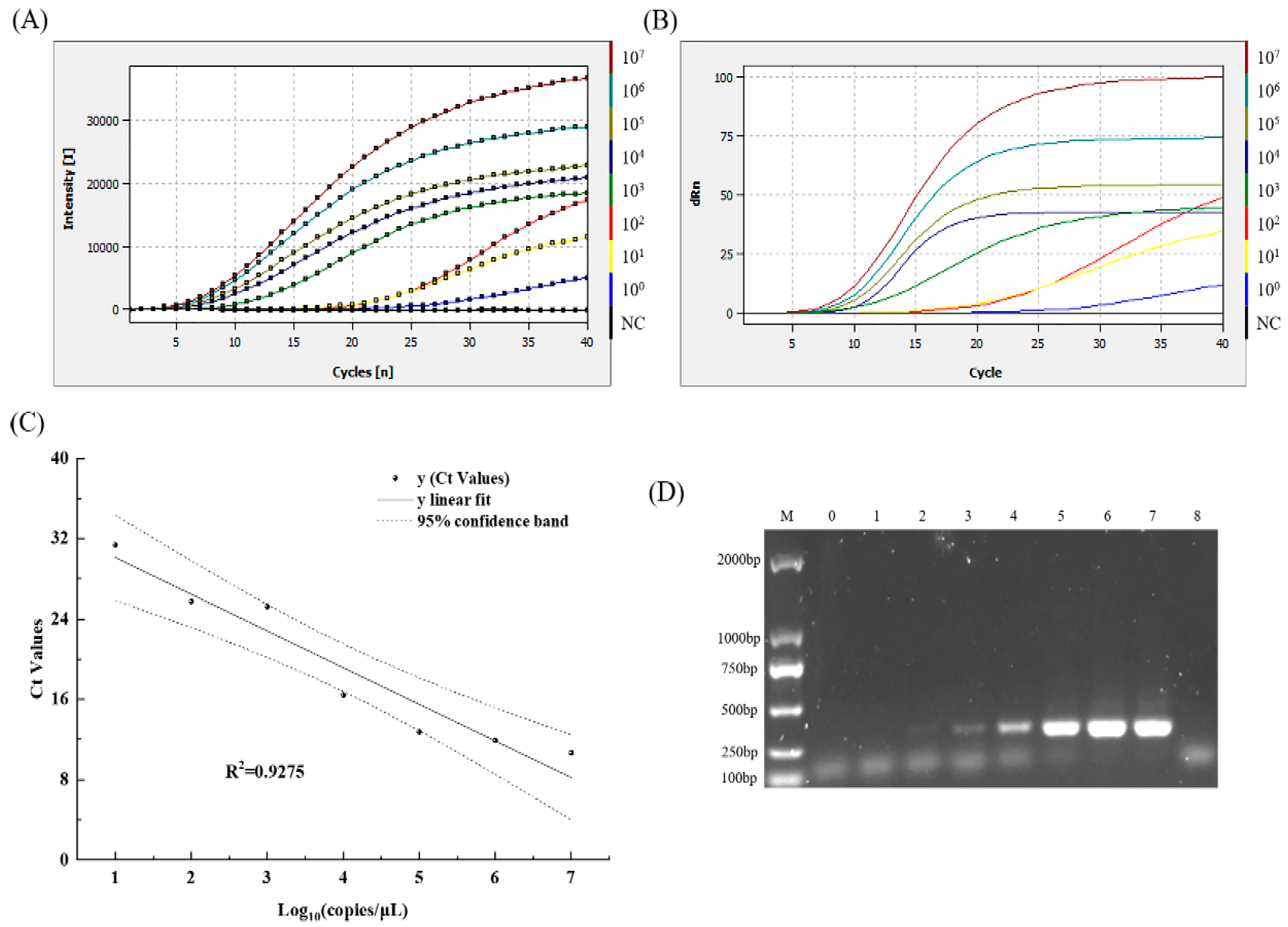 Microorganisms 13 00712 g004