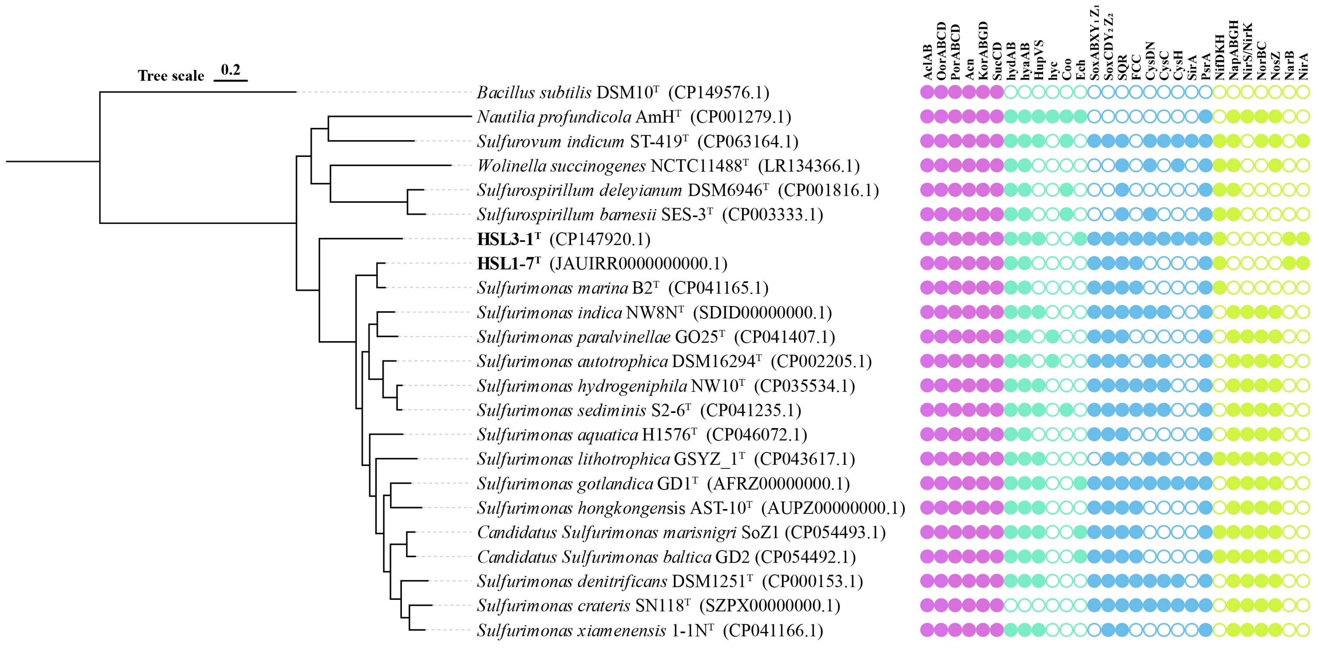 Microorganisms 13 00713 g002