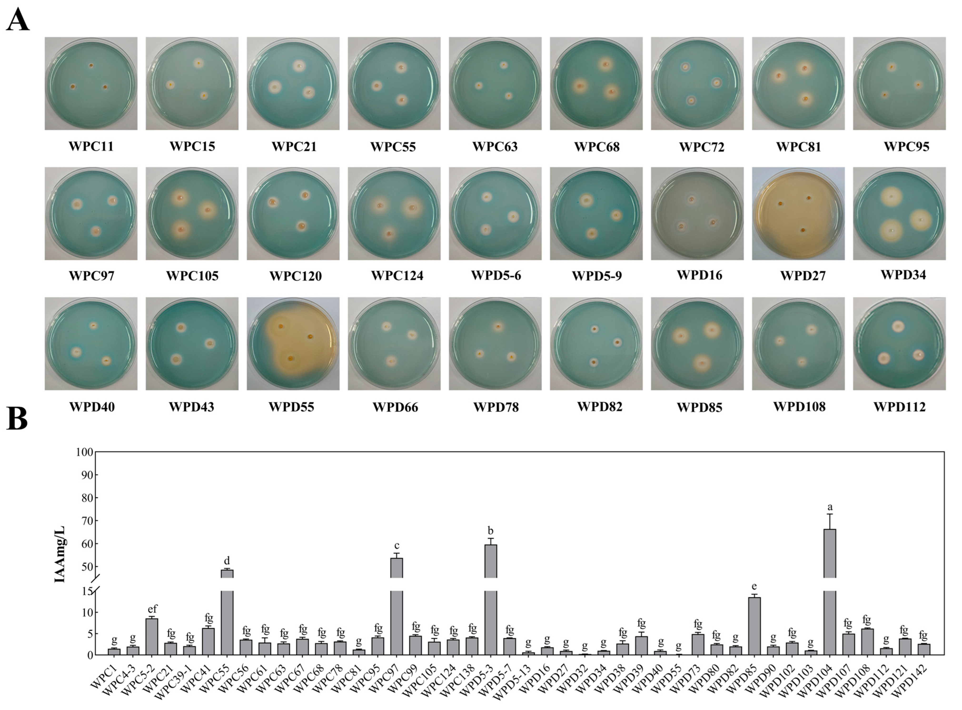 Microorganisms 13 00718 g003