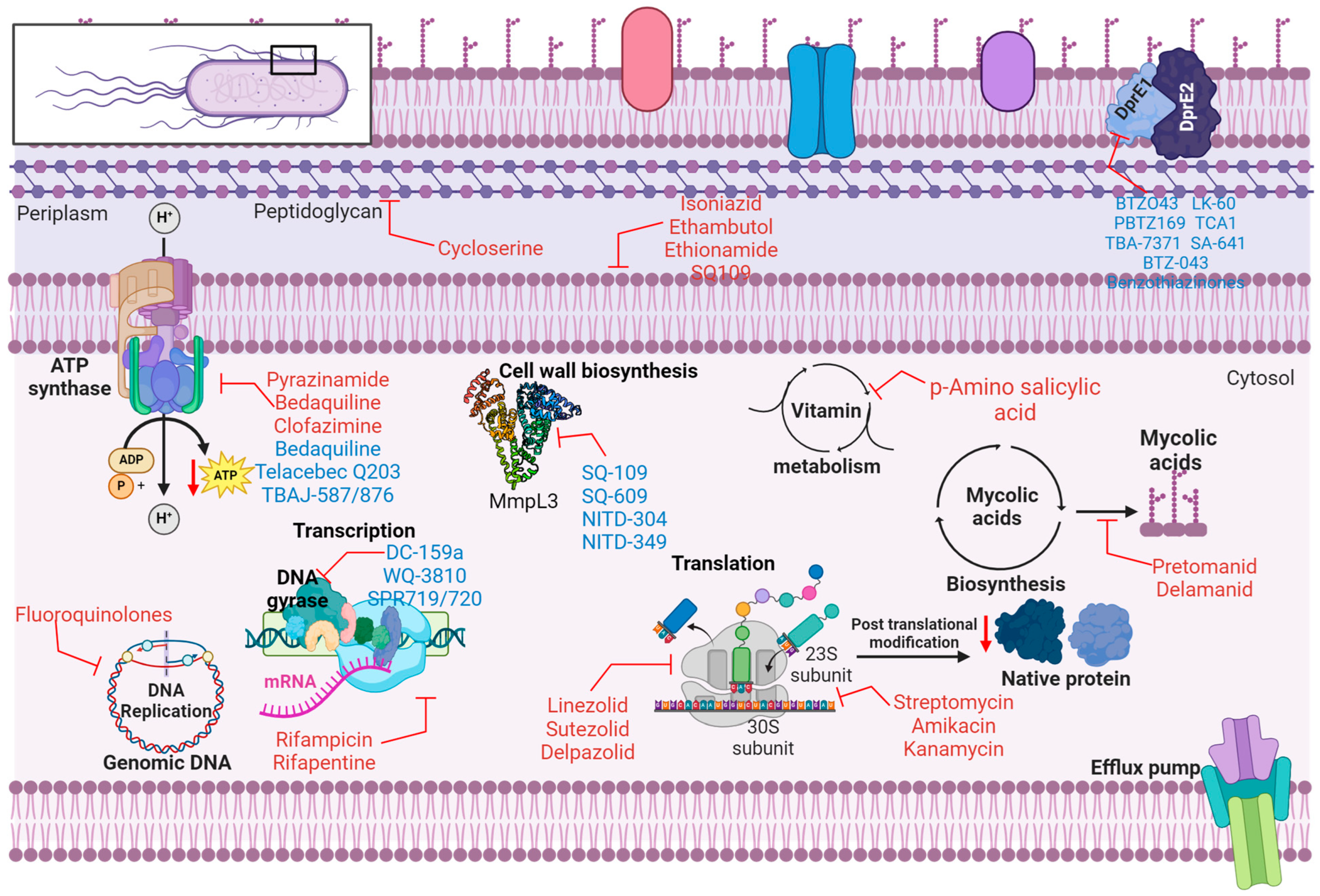Microorganisms 13 00722 g002 Microorganisms 13 00722 g002