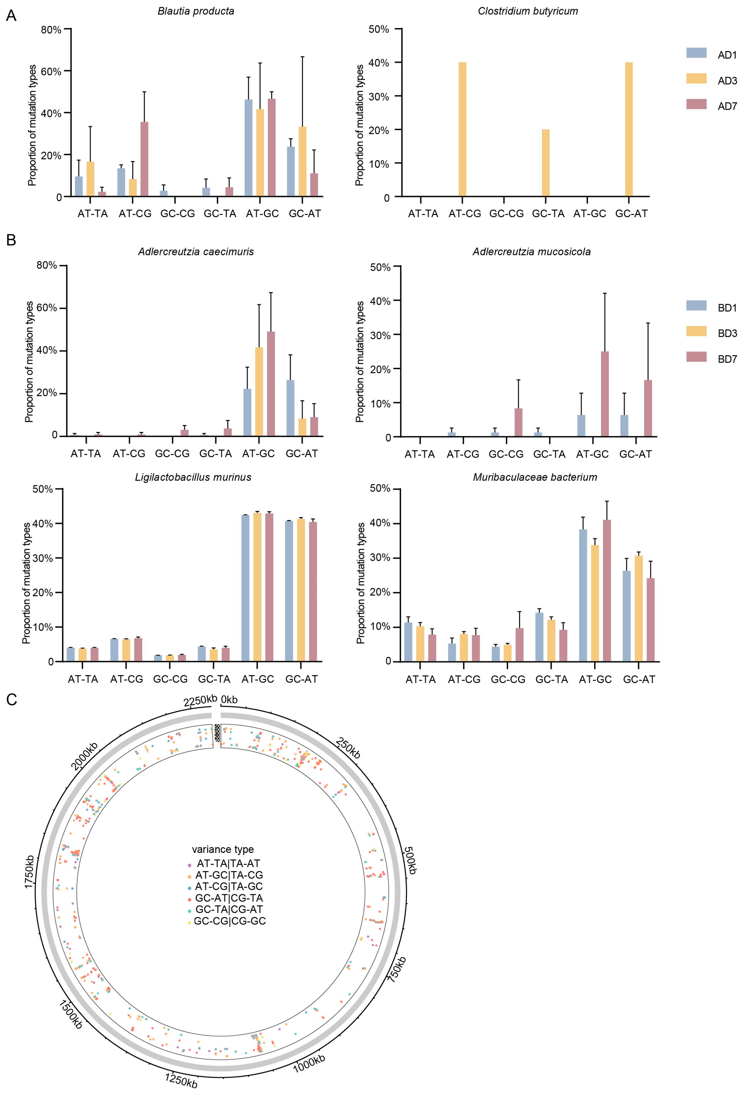 Microorganisms 13 00731 g006