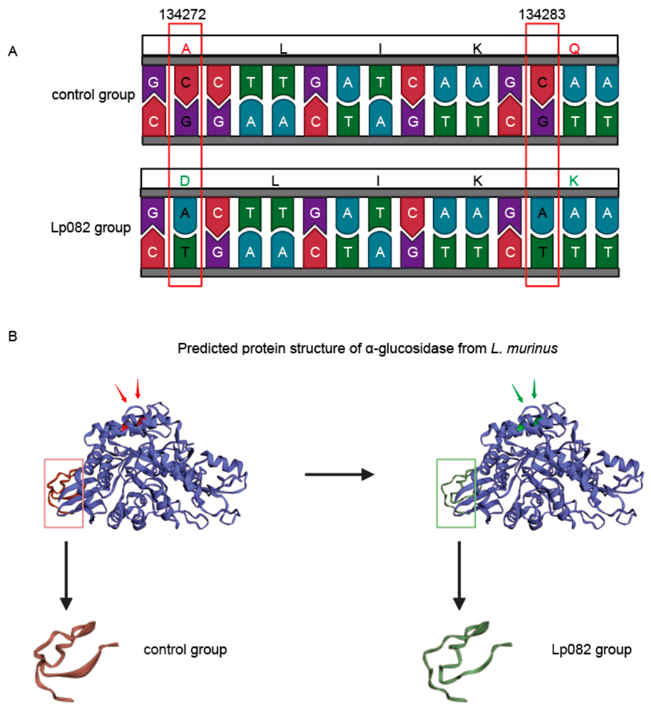 Microorganisms 13 00731 g007