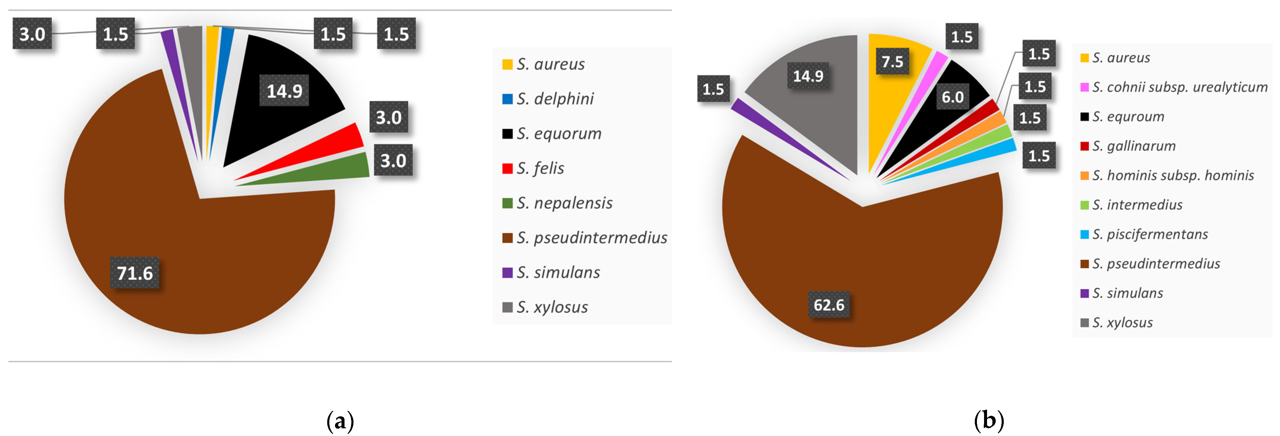 Microorganisms 13 00735 g001