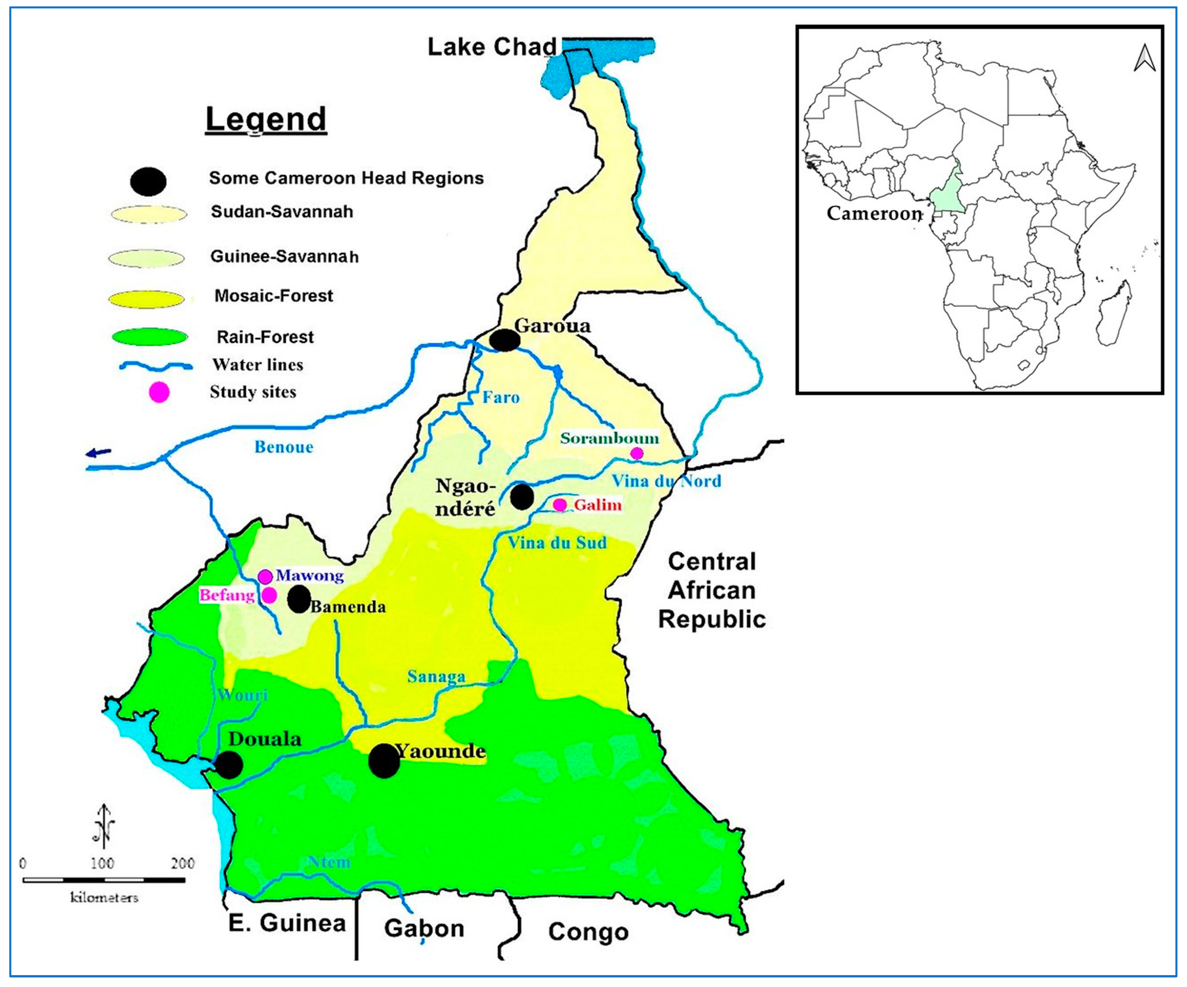 Microorganisms 13 00736 g001