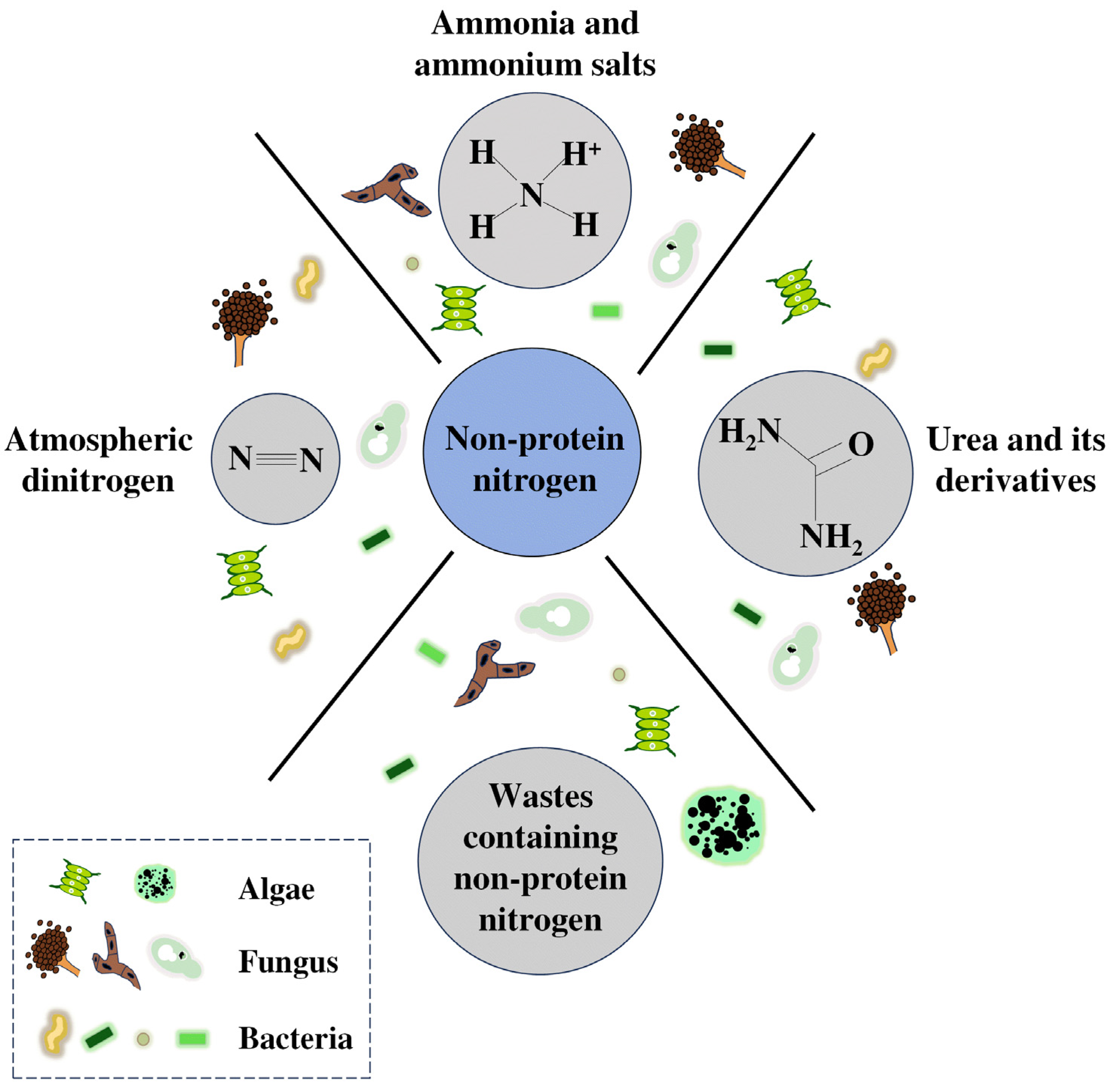 Microorganisms 13 00742 g001