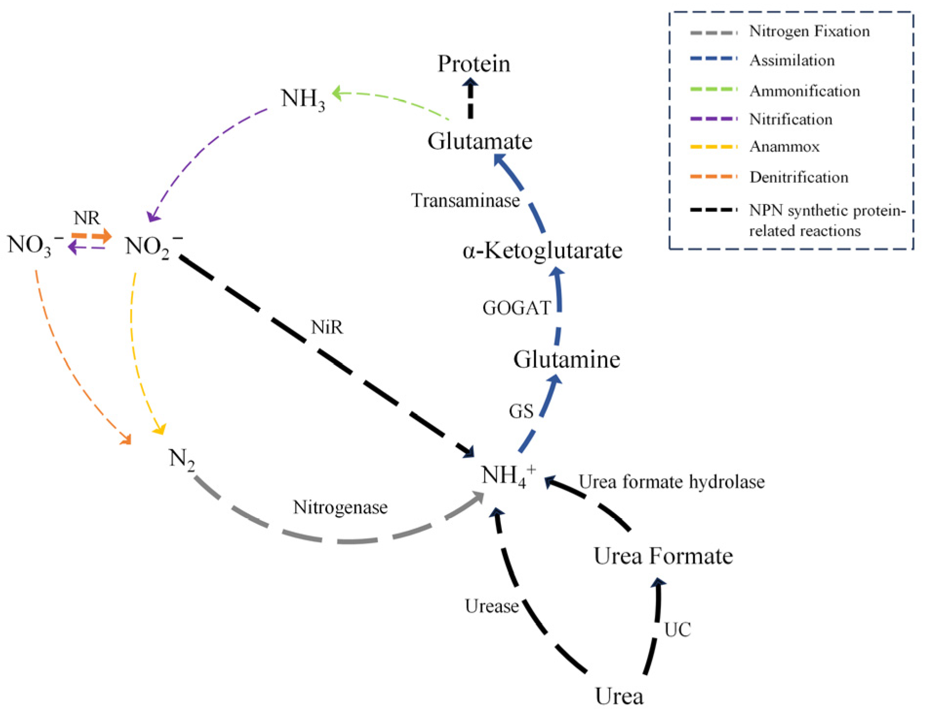 Microorganisms 13 00742 g002
