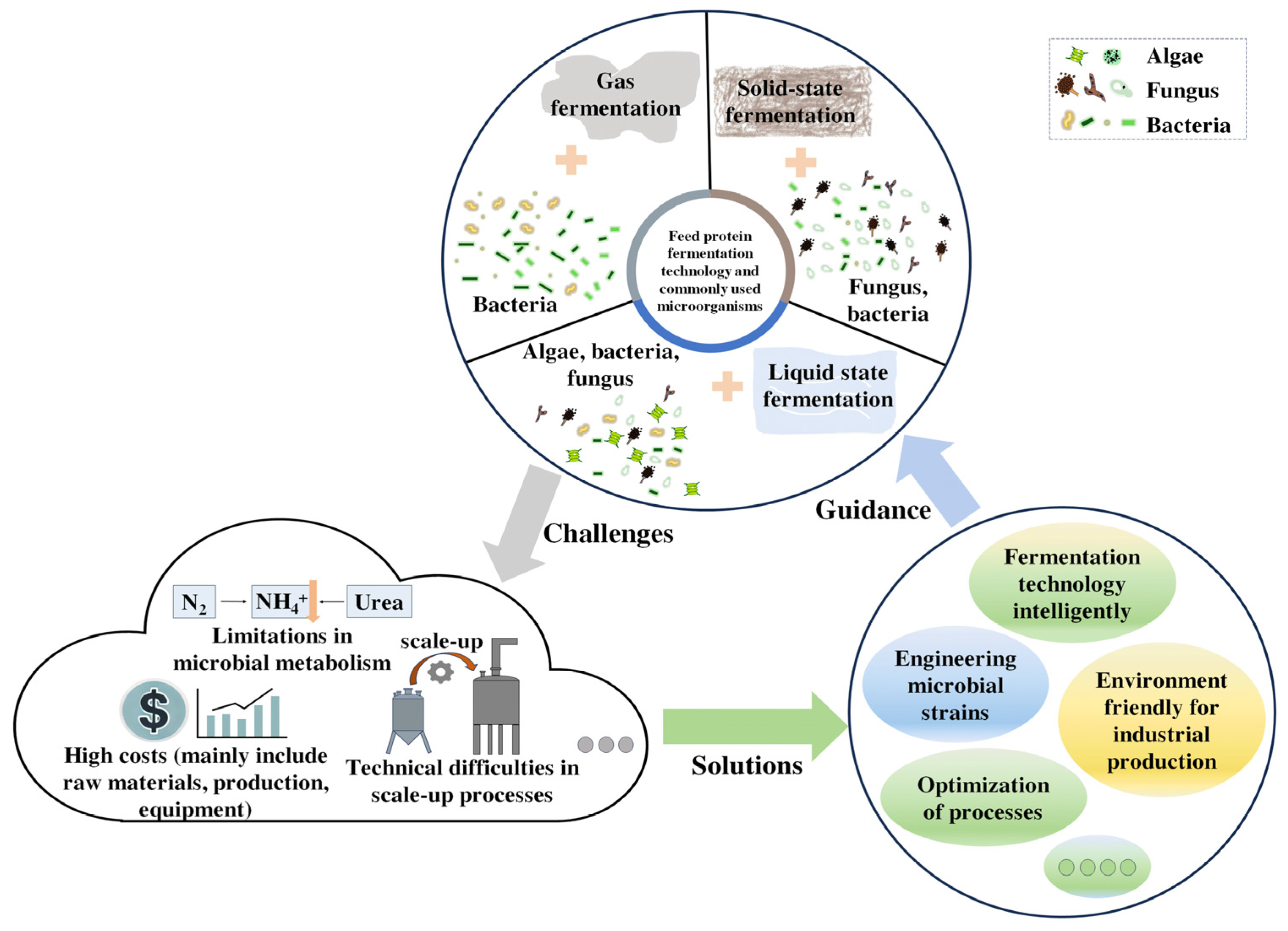 Microorganisms 13 00742 g003