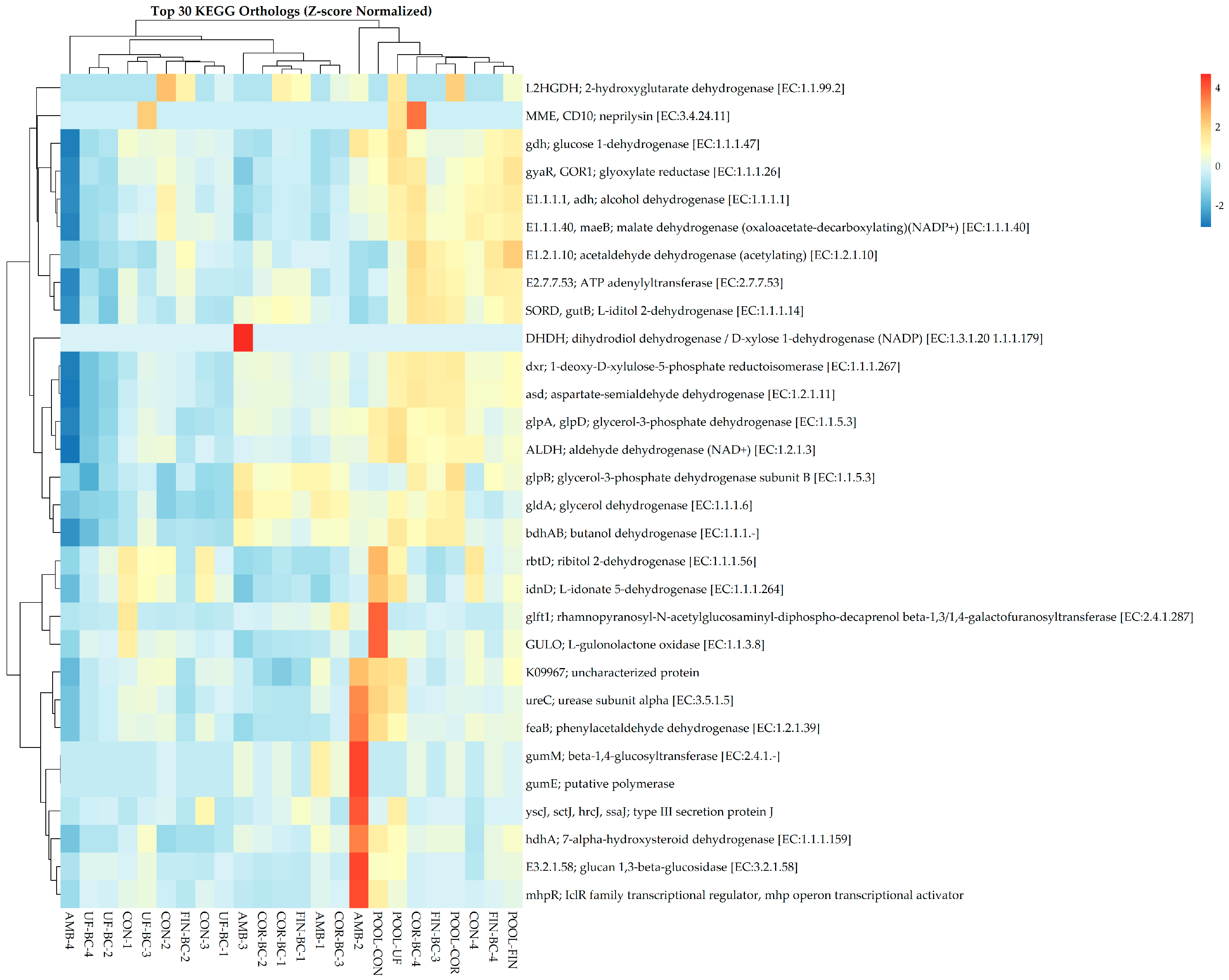 Microorganisms 13 00758 g005 Microorganisms 13 00758 g005