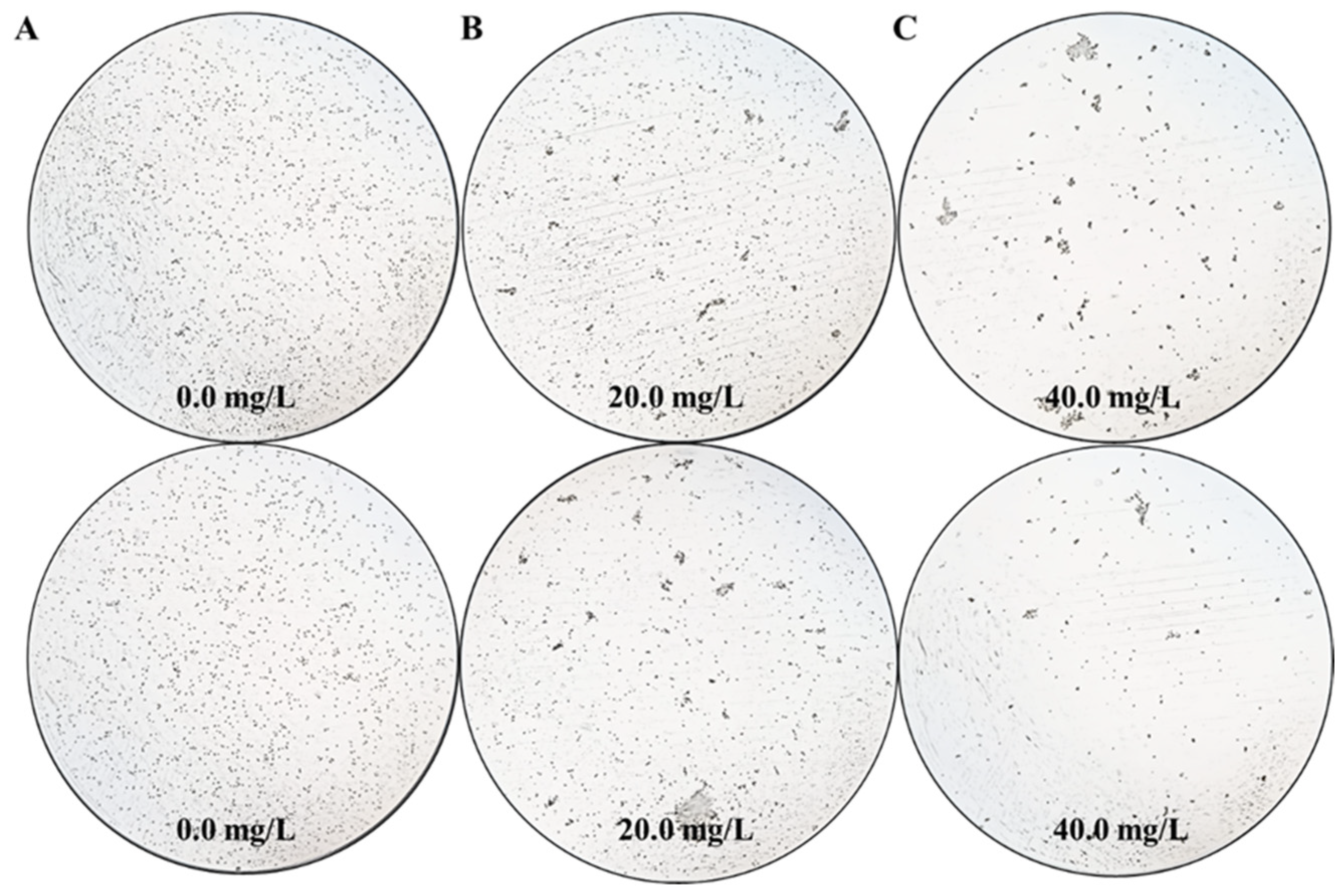 Microorganisms 13 00760 g001