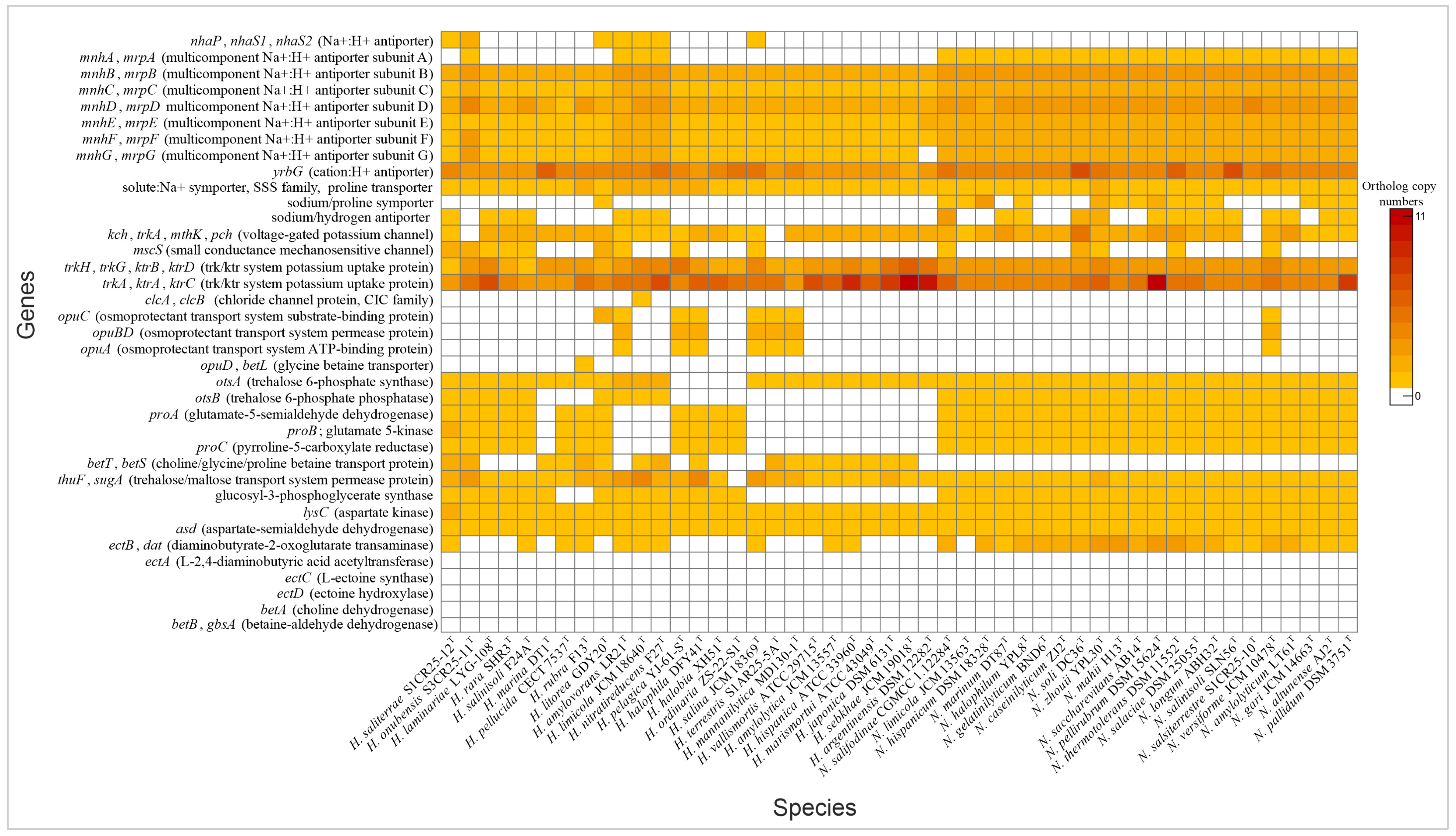 Microorganisms 13 00761 g004