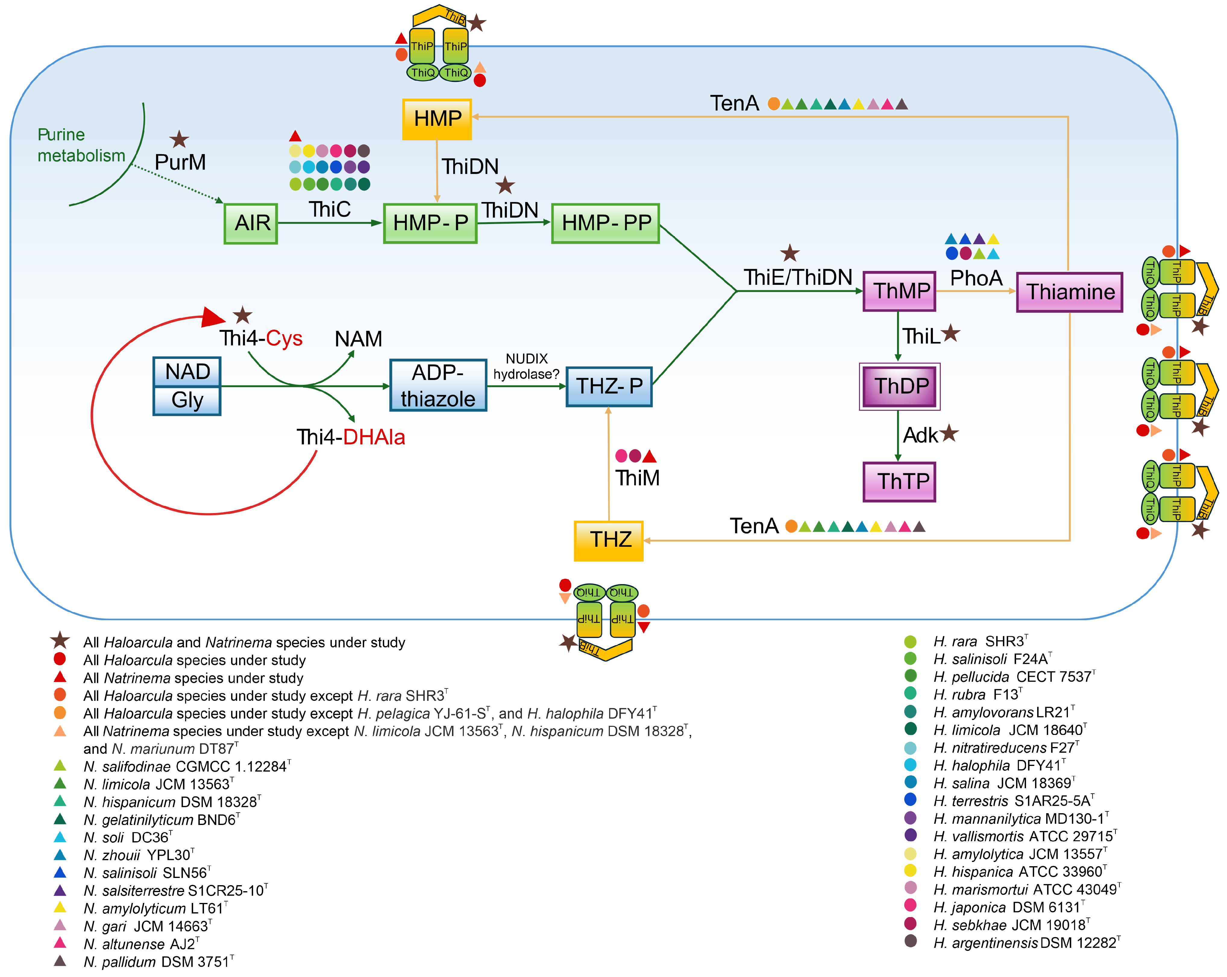 Microorganisms 13 00761 g009