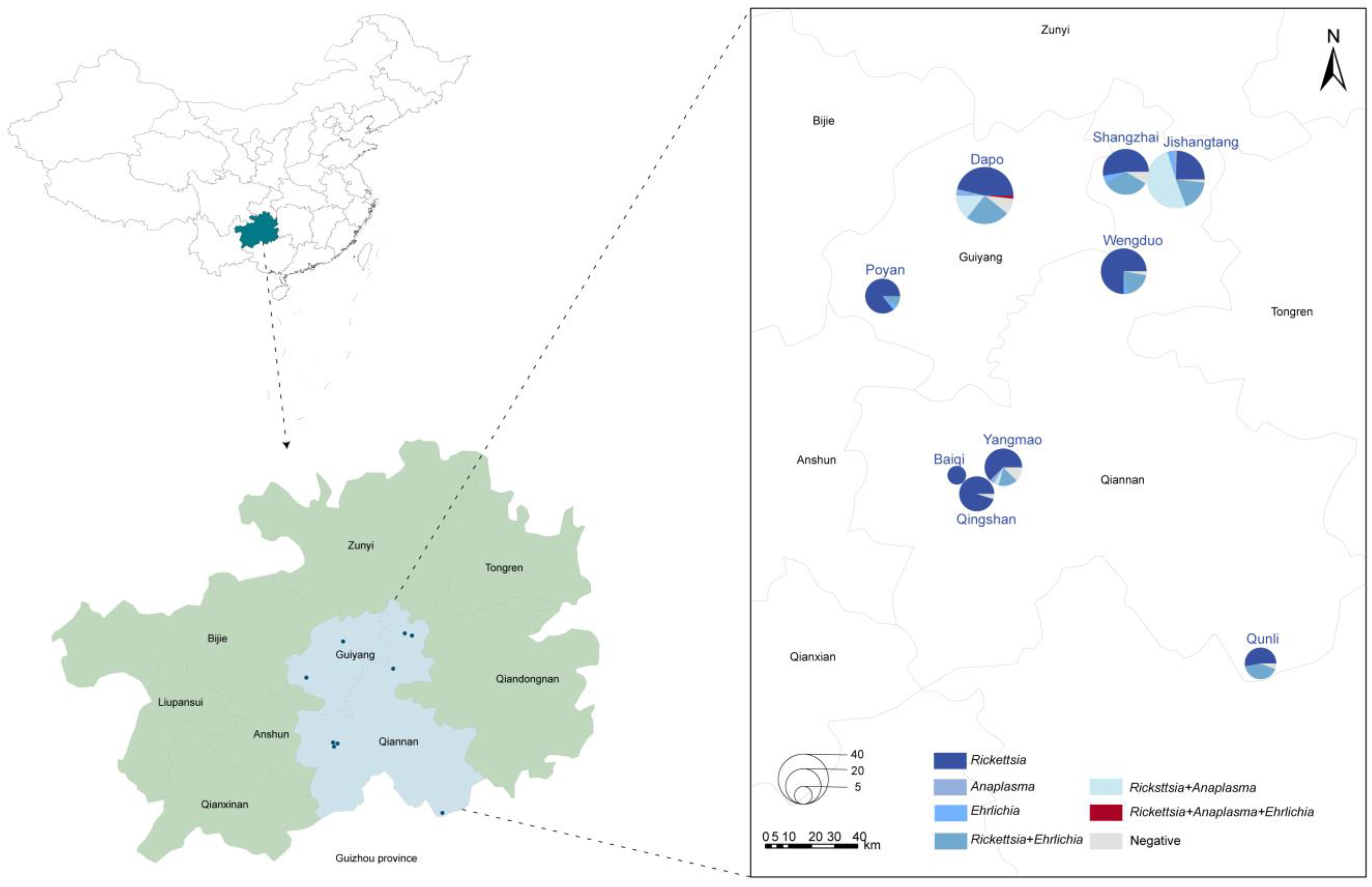 Microorganisms 13 00765 g001