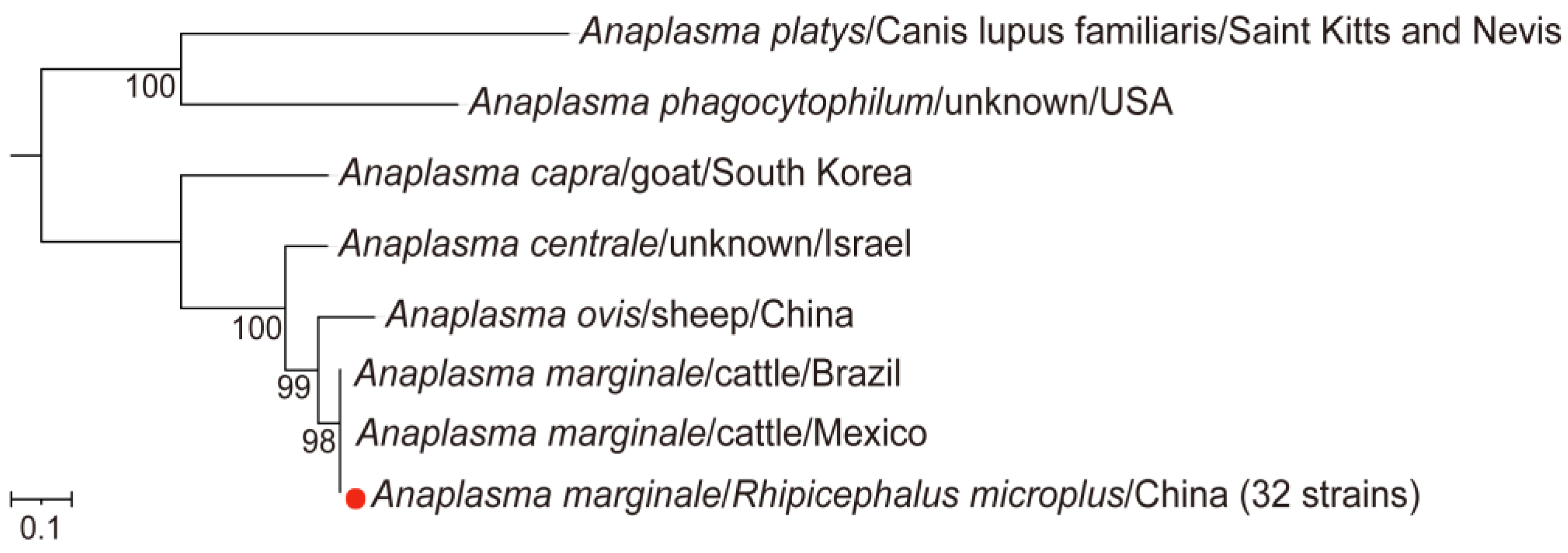 Microorganisms 13 00765 g003