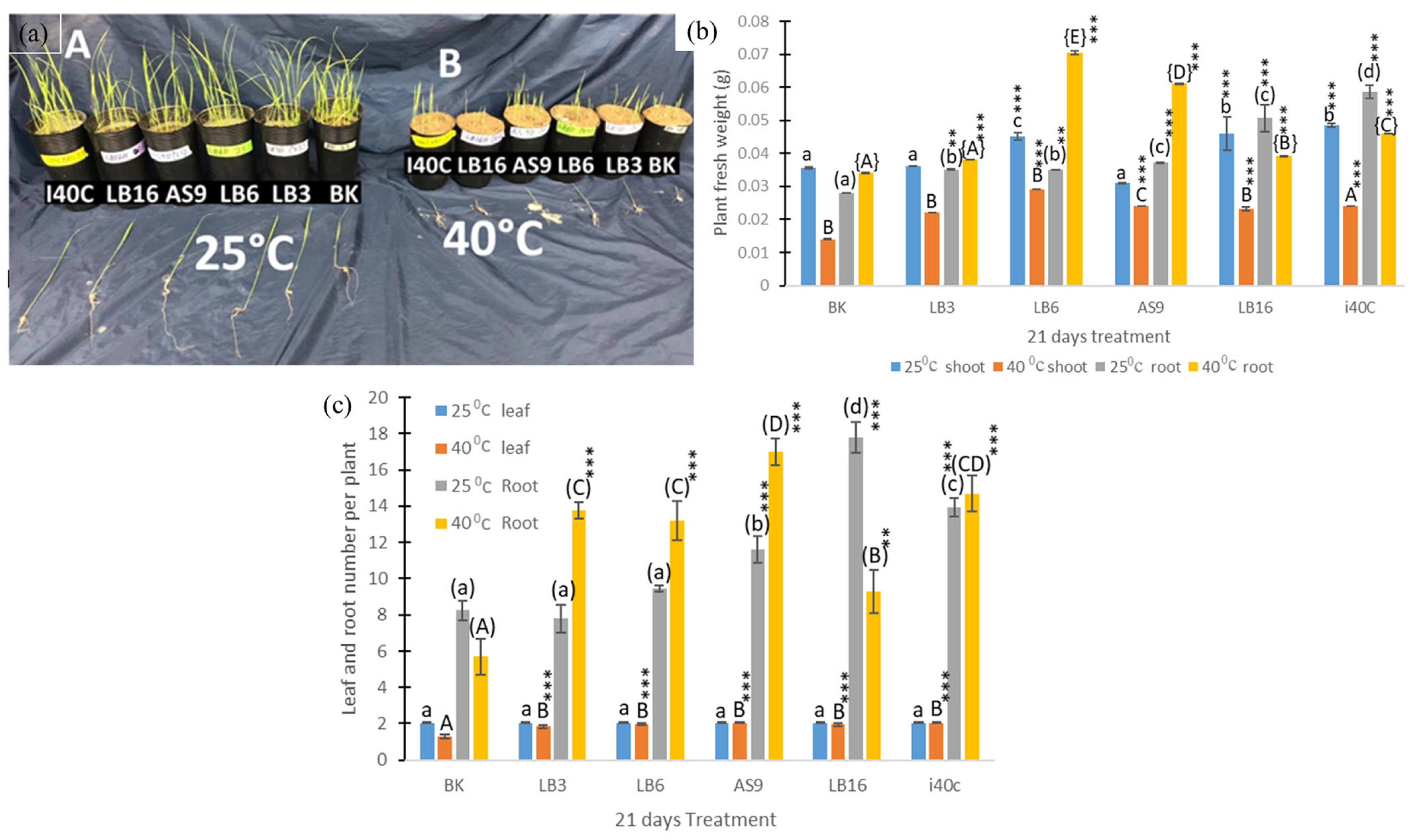 Microorganisms 13 00766 g002