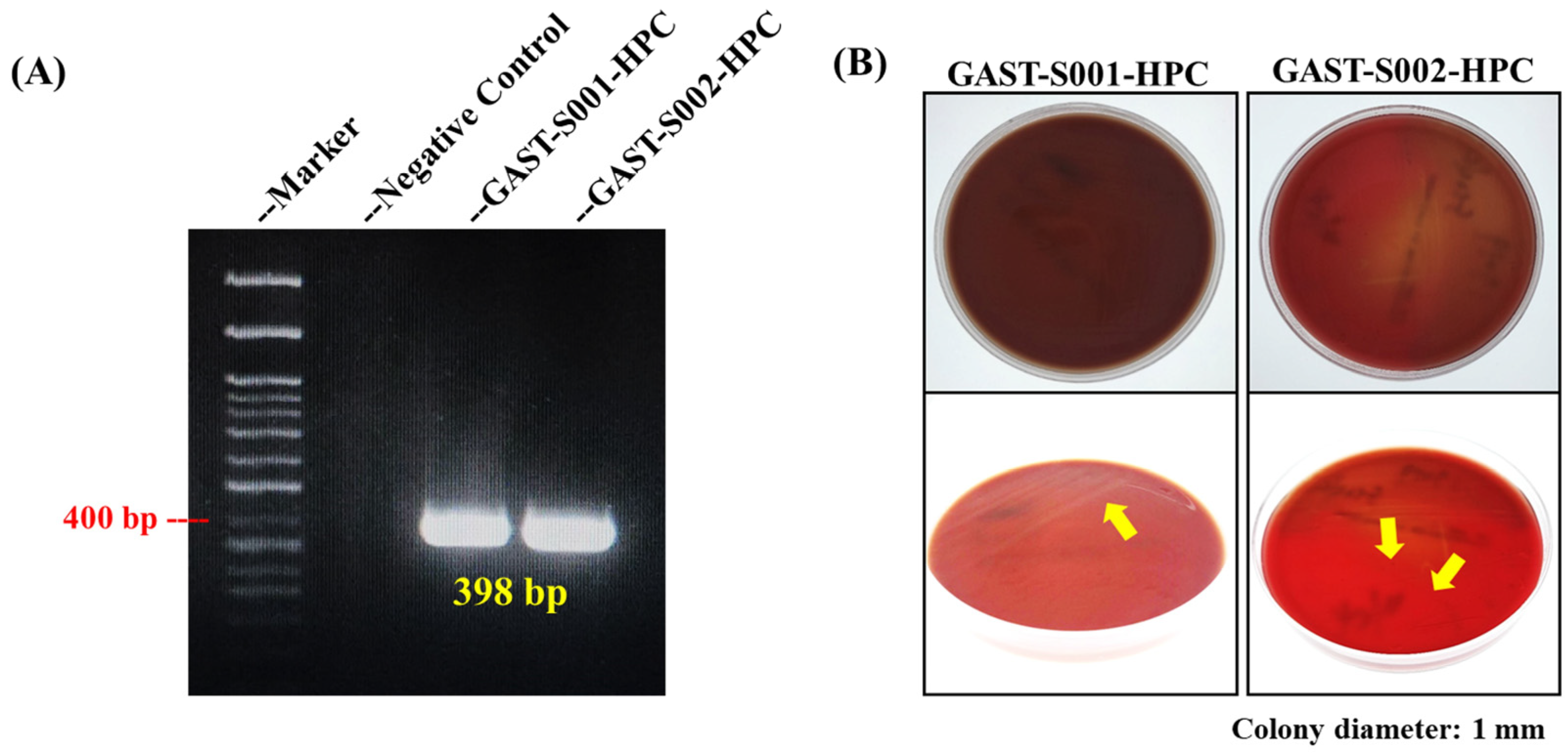 Microorganisms 13 00767 g002