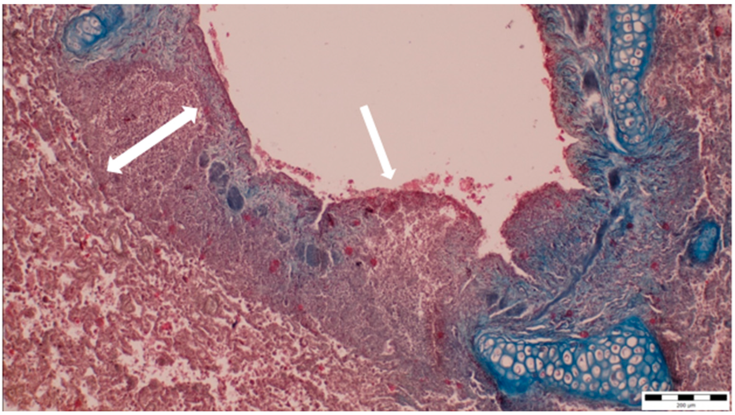 Microorganisms 13 00769 g002