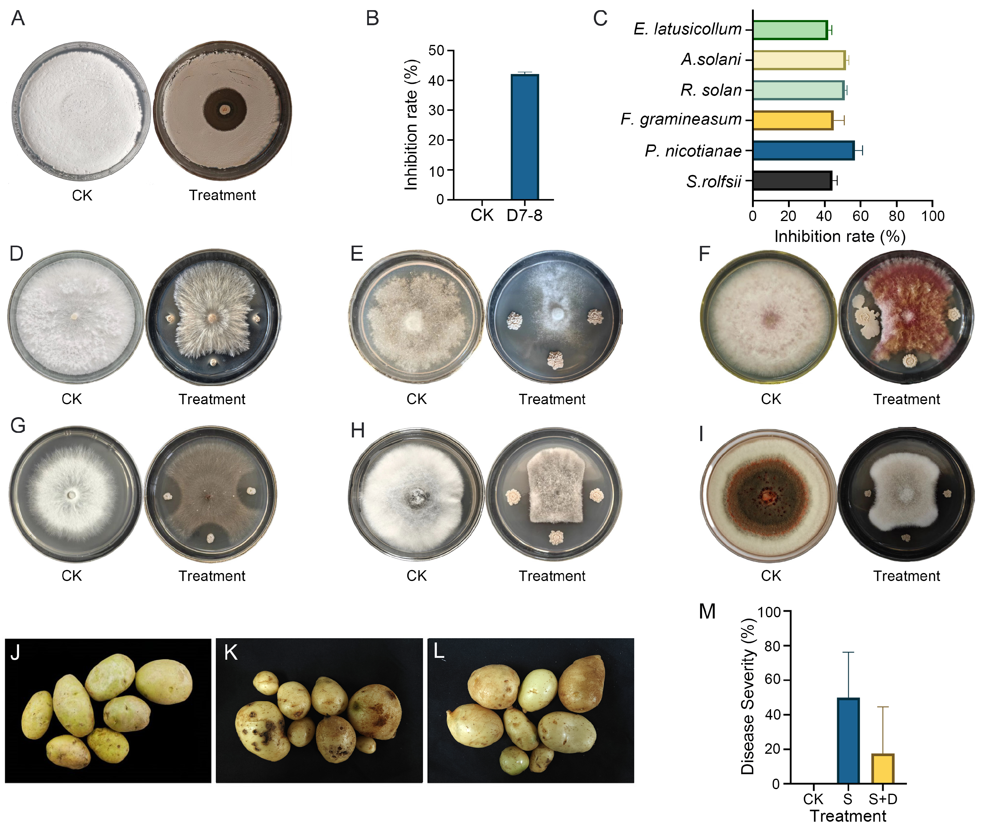 Microorganisms 13 00770 g001