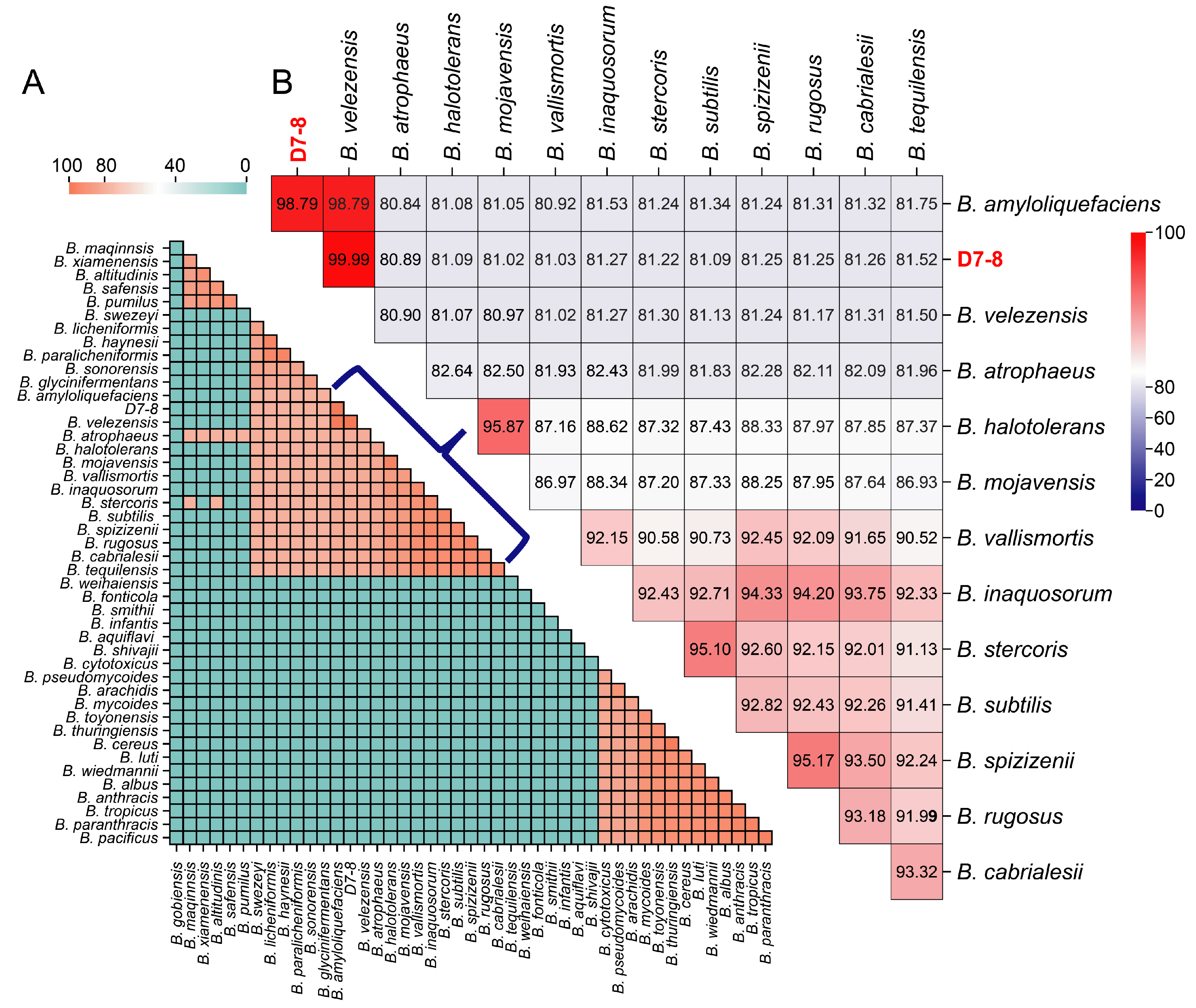 Microorganisms 13 00770 g004