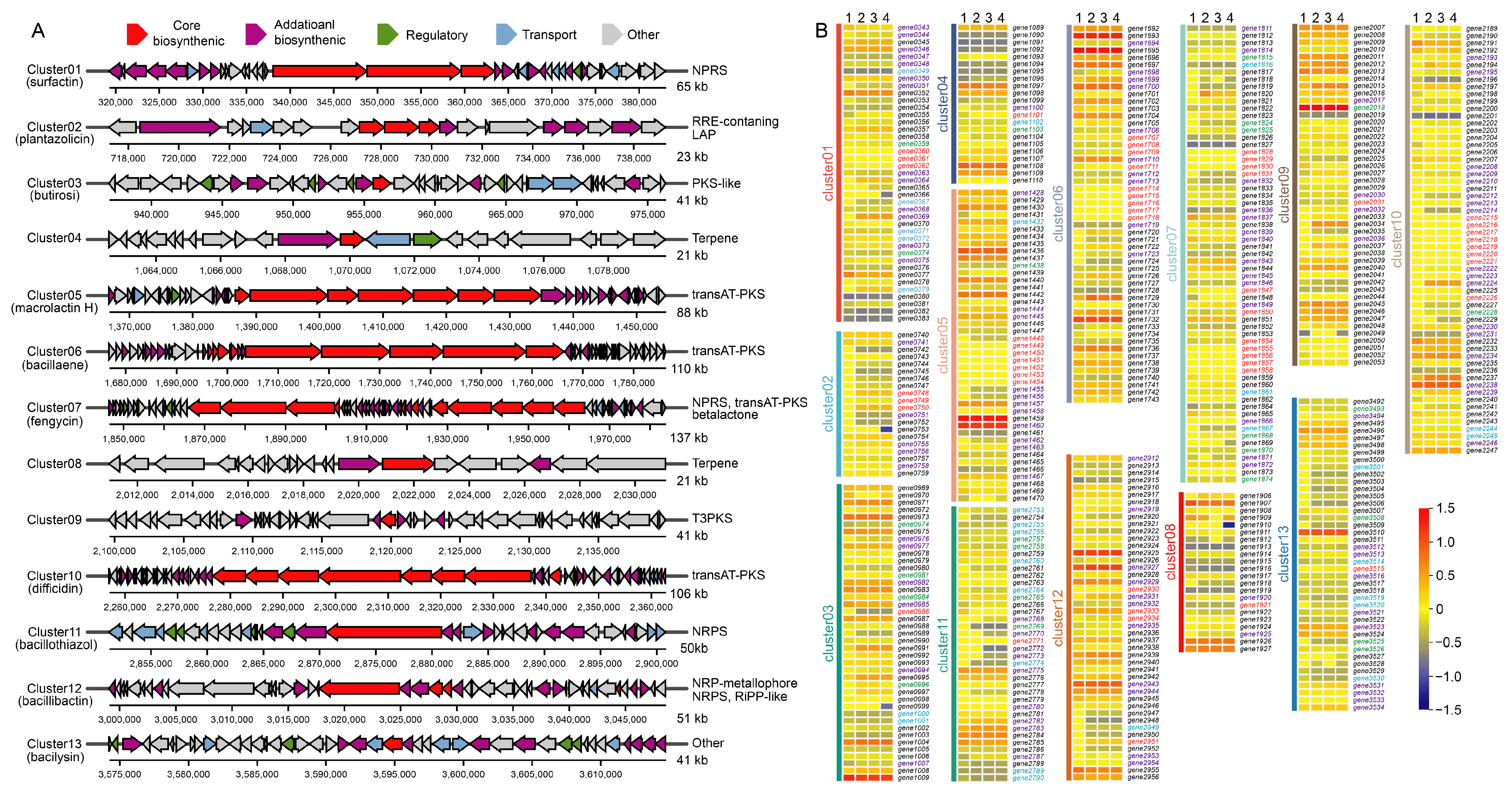 Microorganisms 13 00770 g006