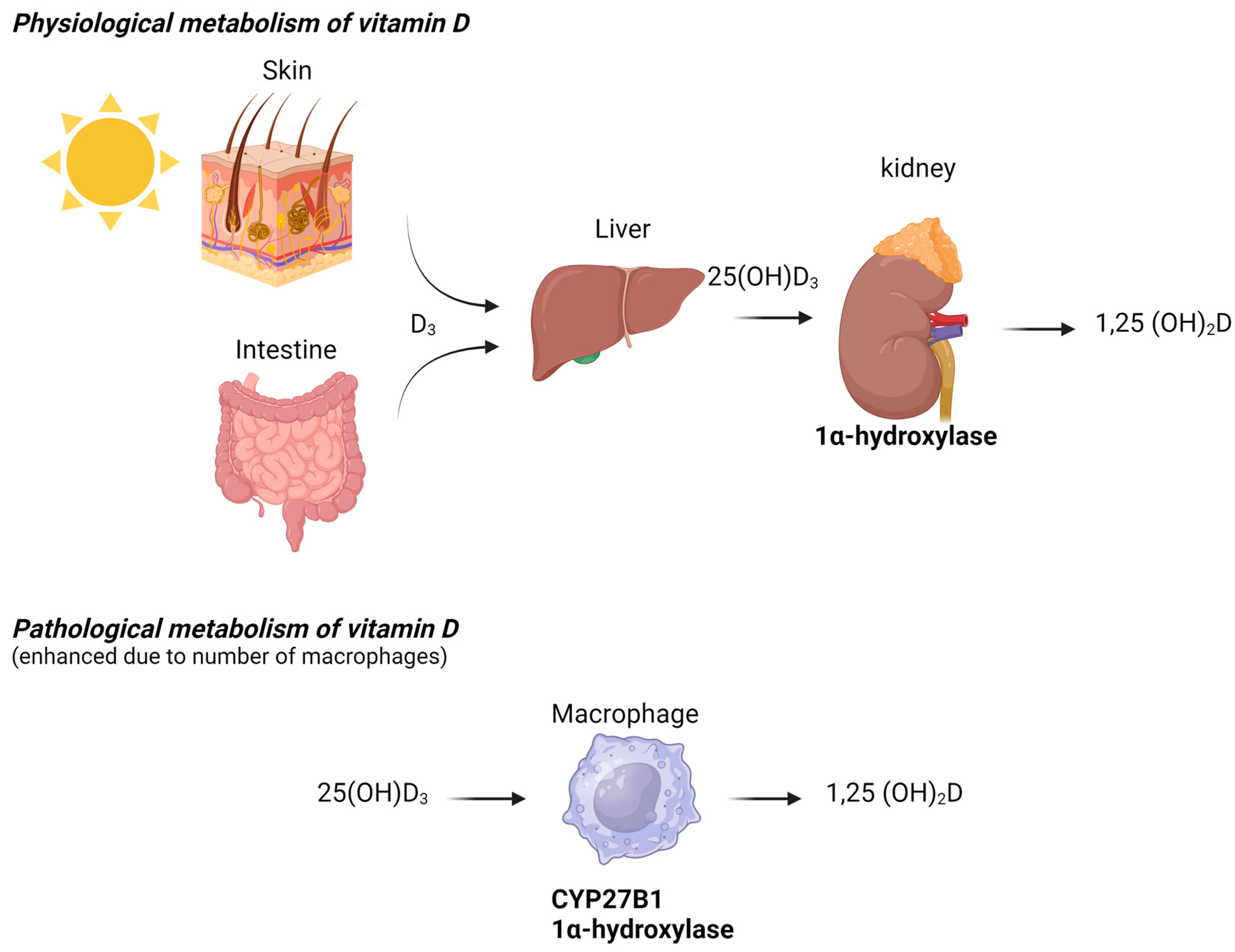 Microorganisms 13 00773 g002