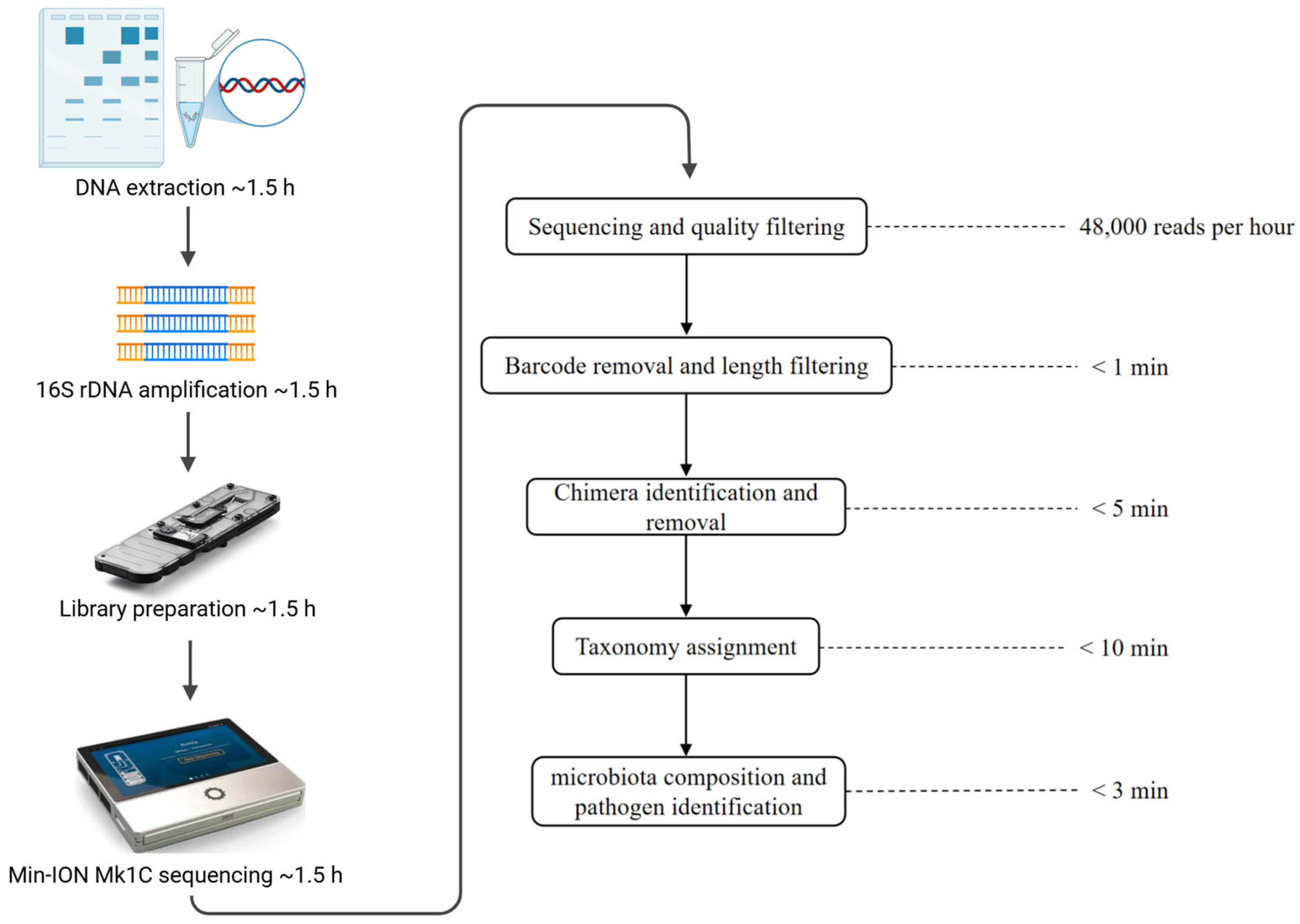 Microorganisms 13 00777 g001 Microorganisms 13 00777 g001