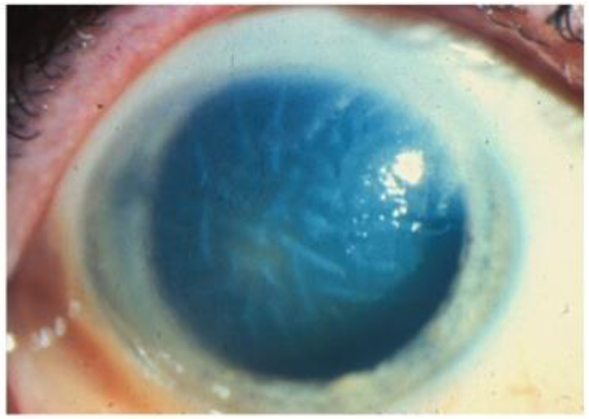 Microorganisms 13 00778 g008