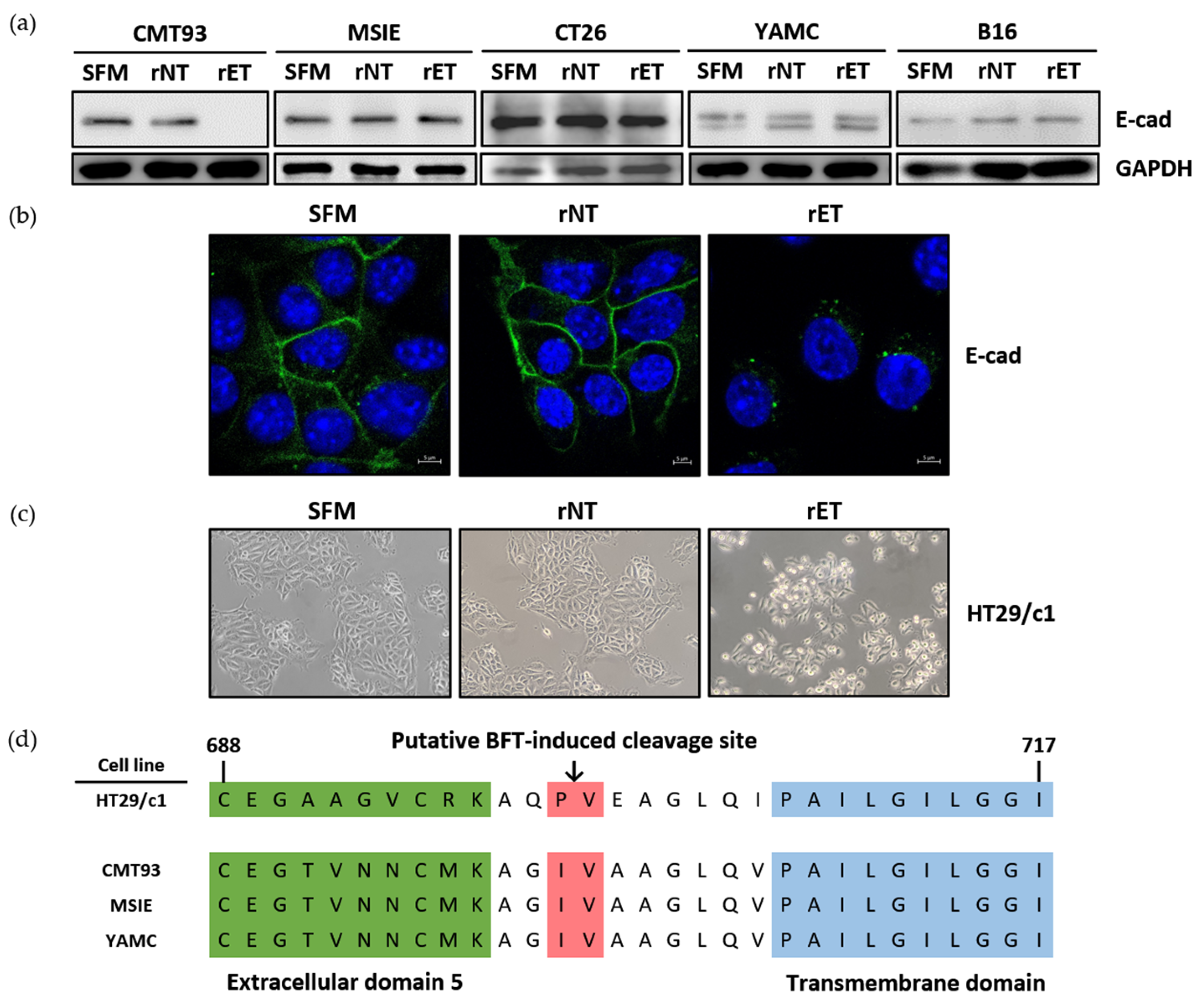 Microorganisms 13 00781 g001