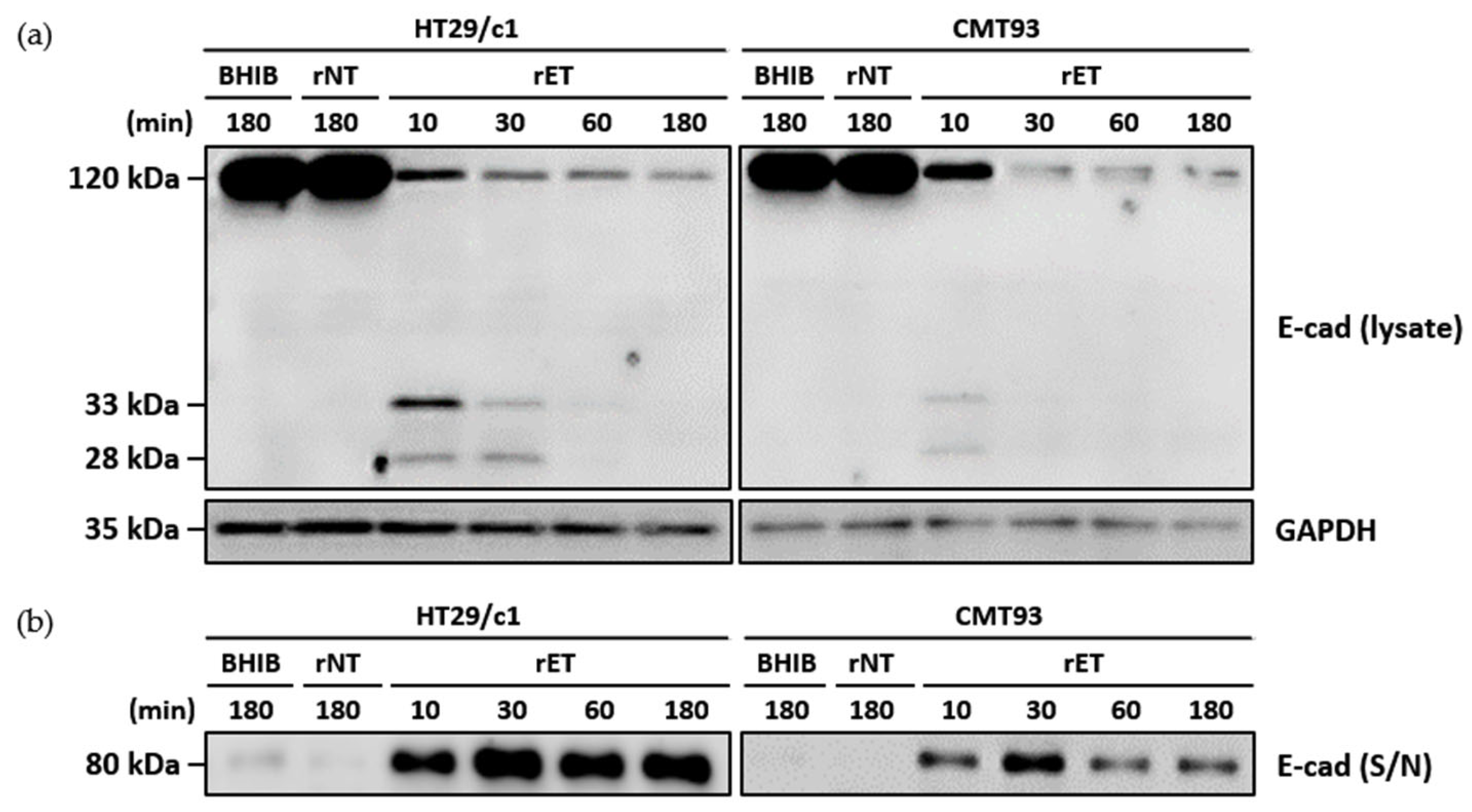 Microorganisms 13 00781 g002