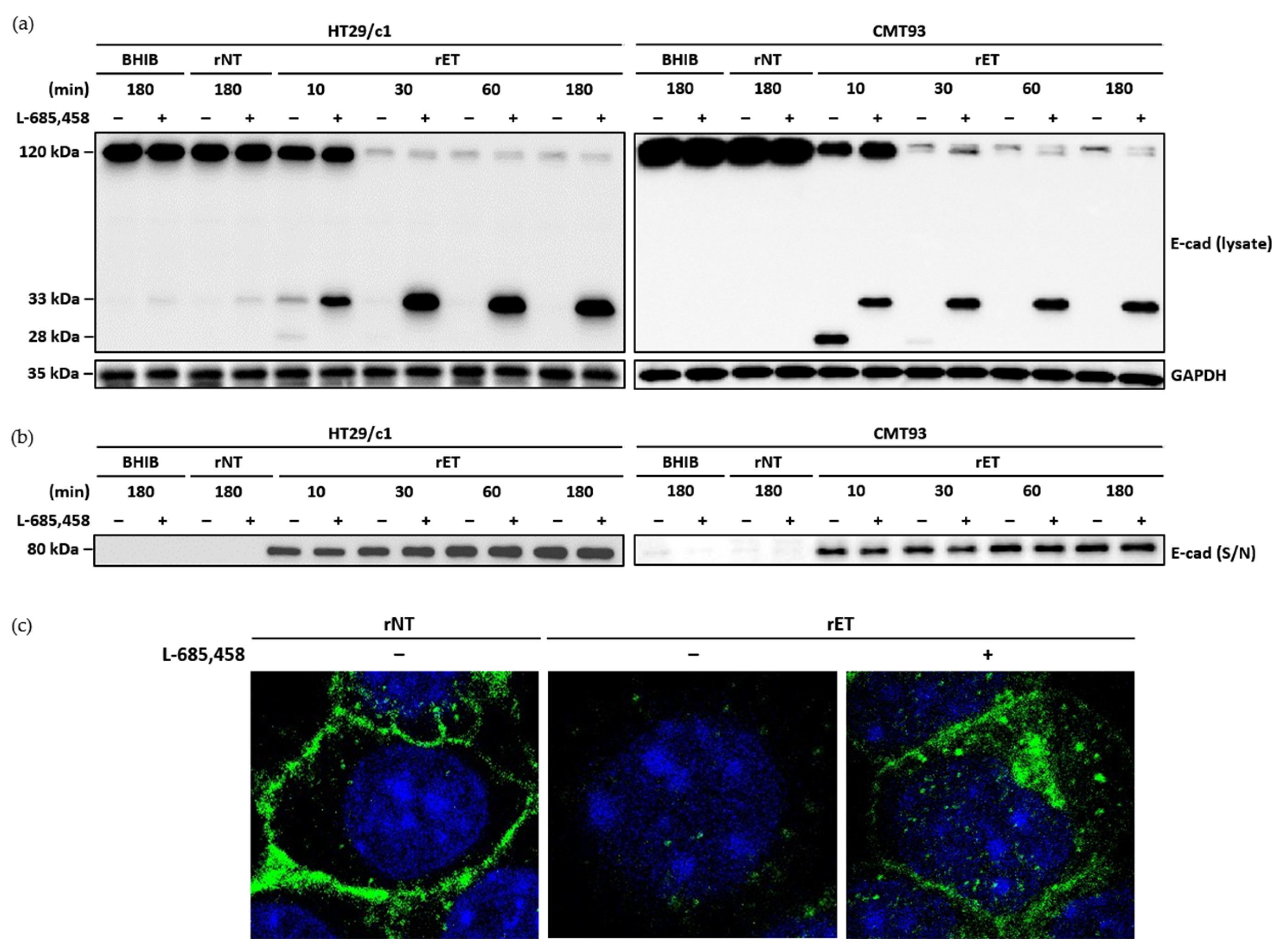 Microorganisms 13 00781 g004