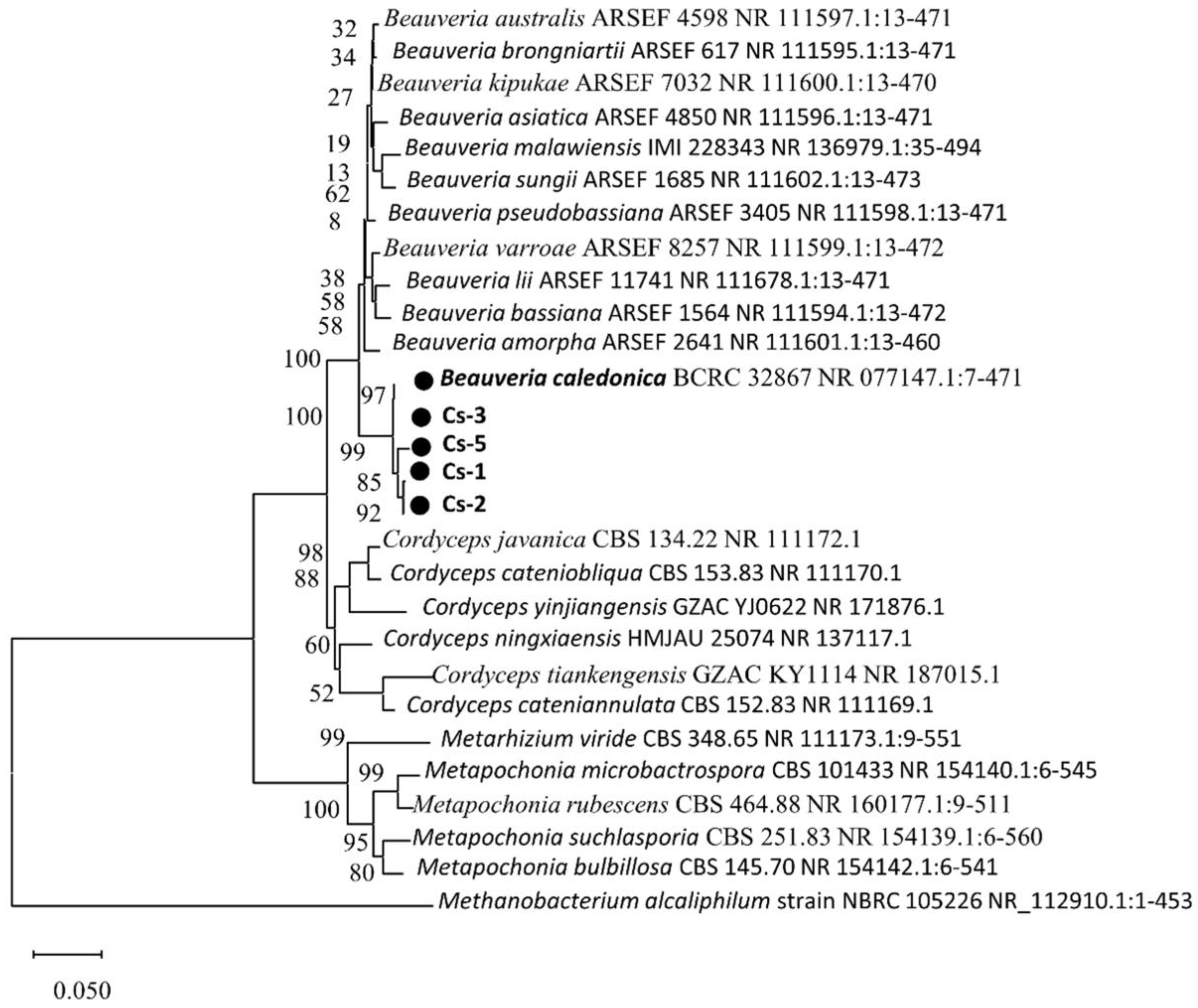 Microorganisms 13 00782 g003