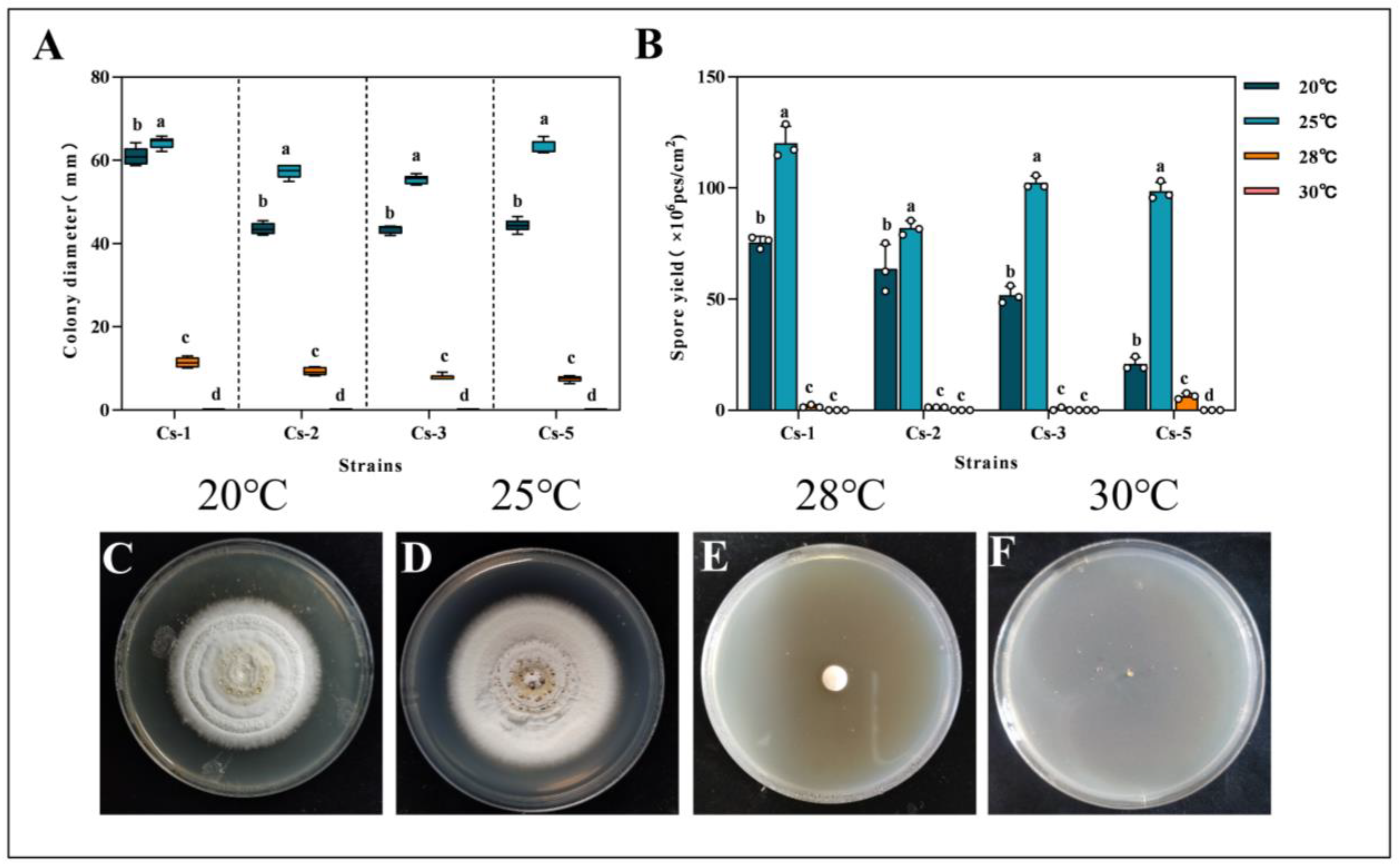 Microorganisms 13 00782 g005