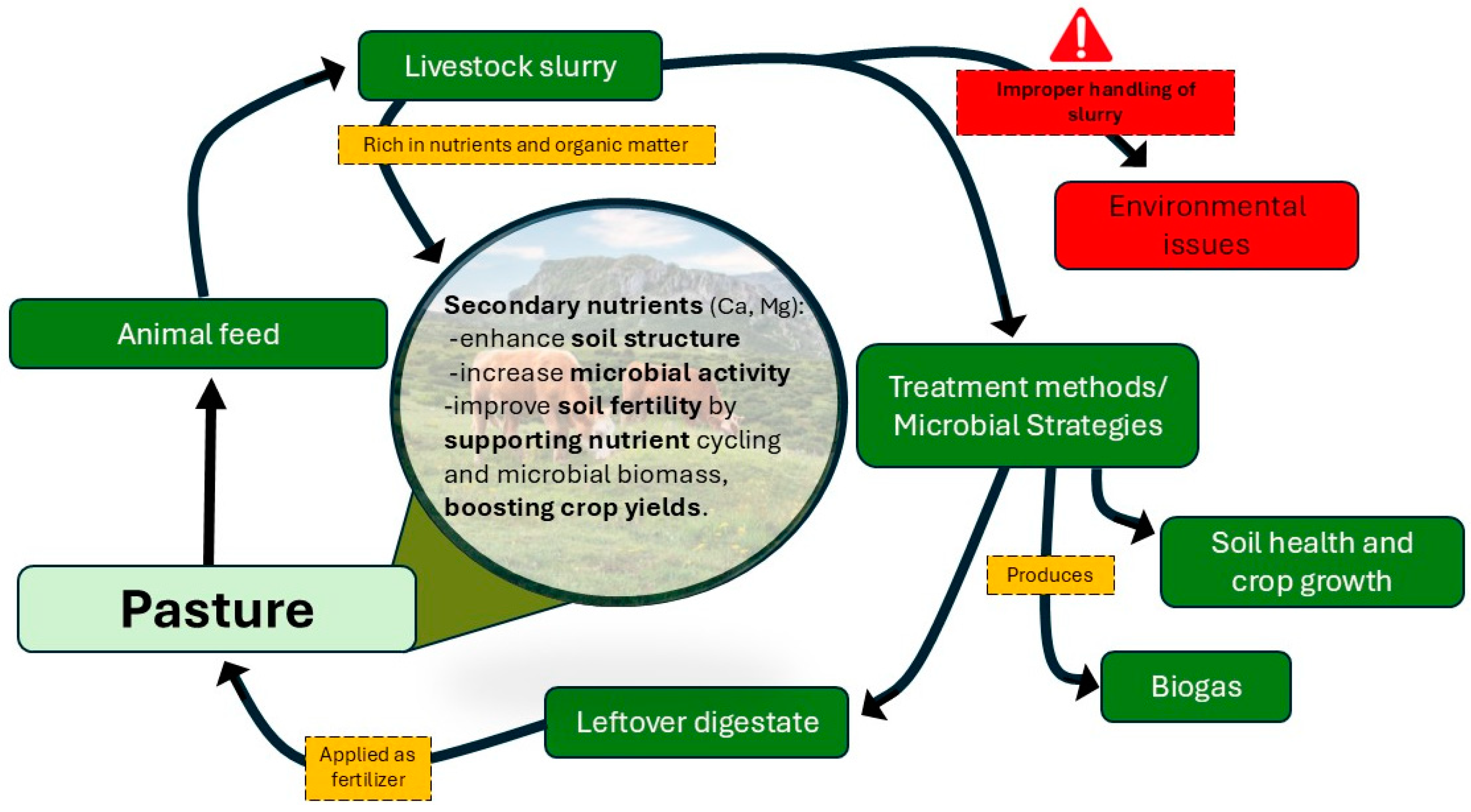 Microorganisms 13 00788 g001