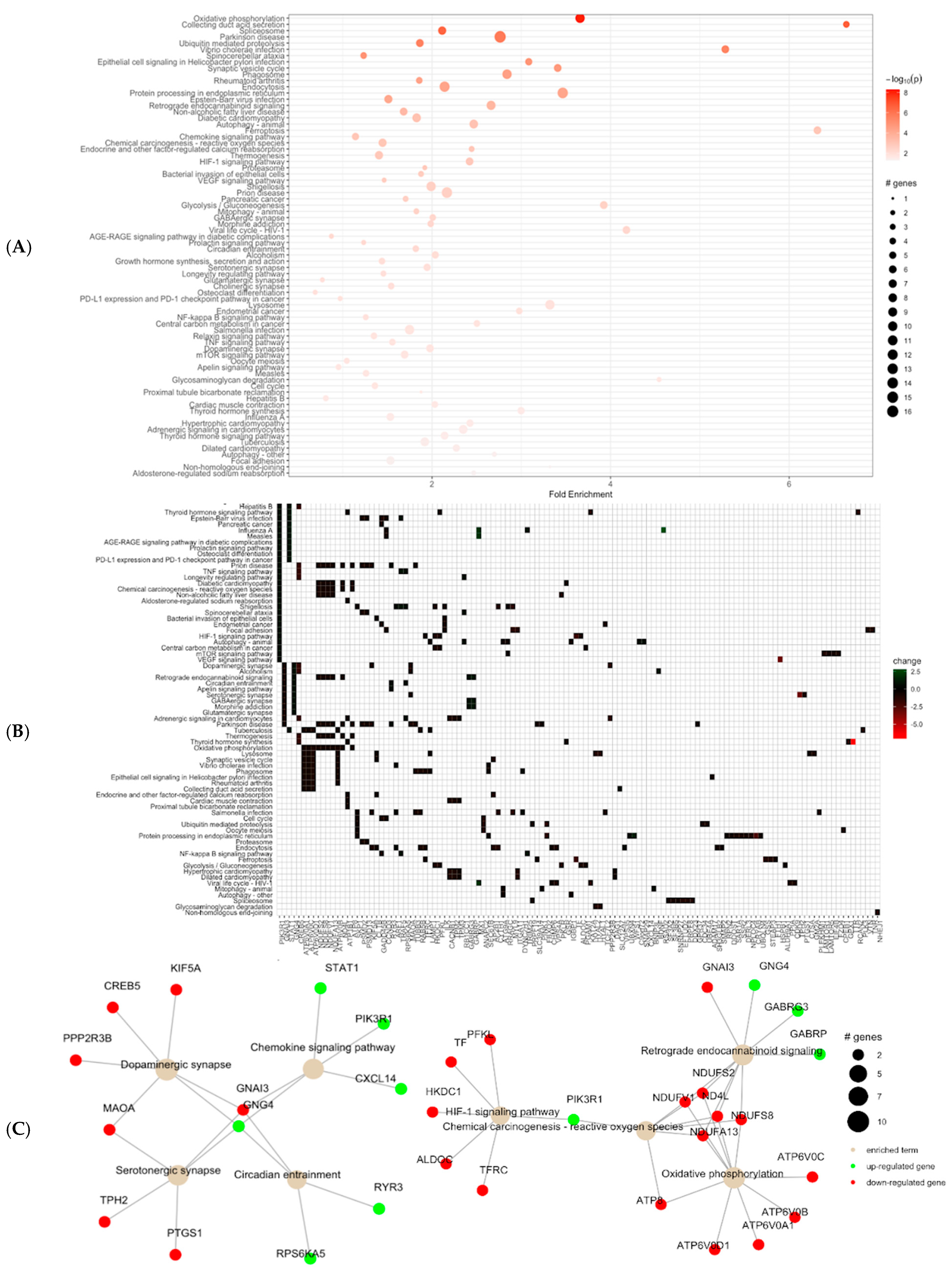 Microorganisms 13 00789 g002