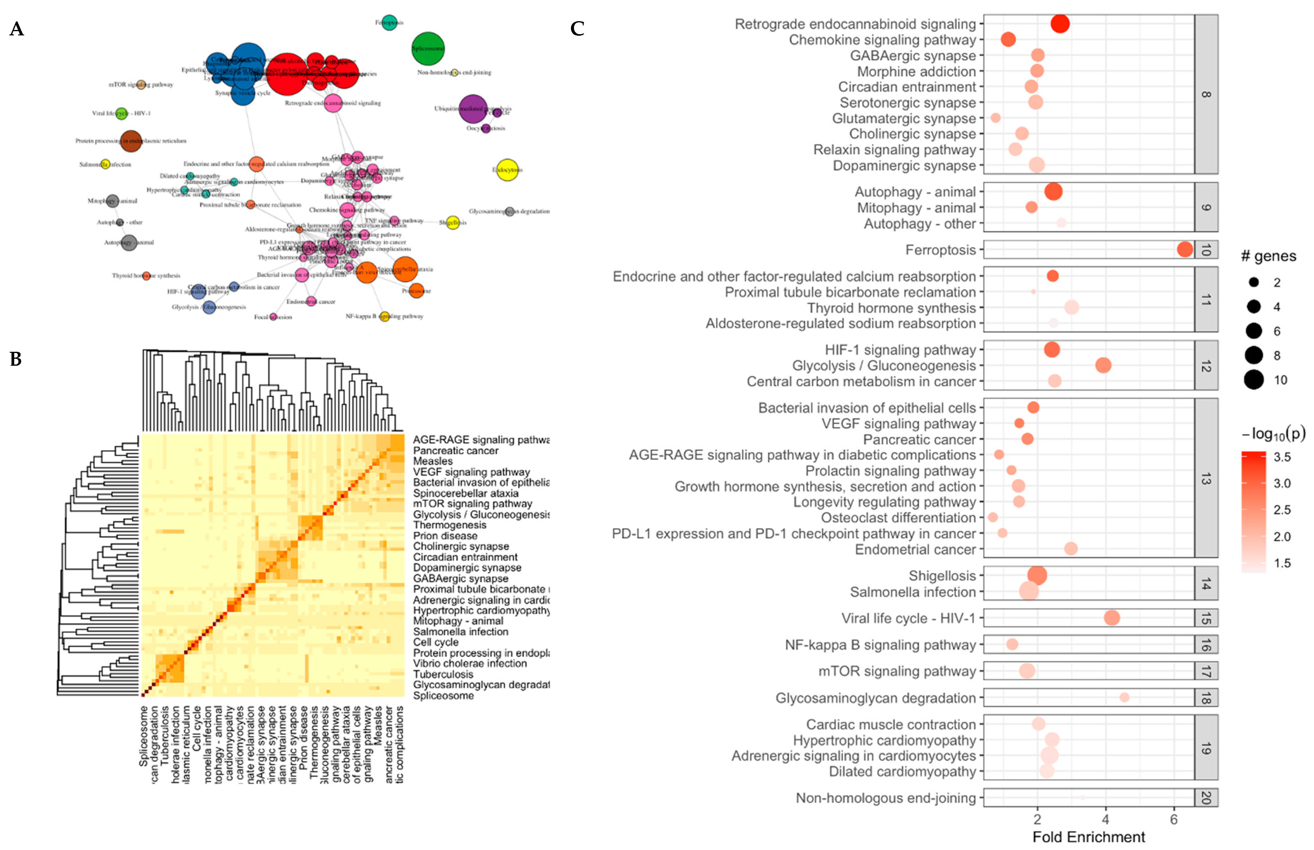 Microorganisms 13 00789 g003