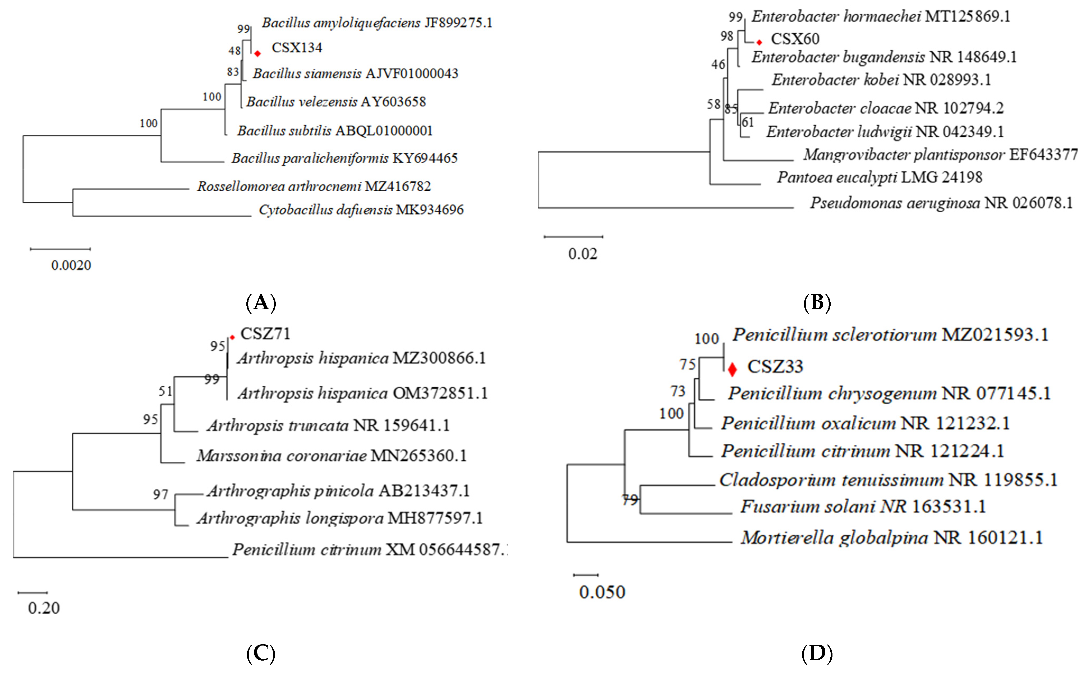 Microorganisms 13 00790 g003