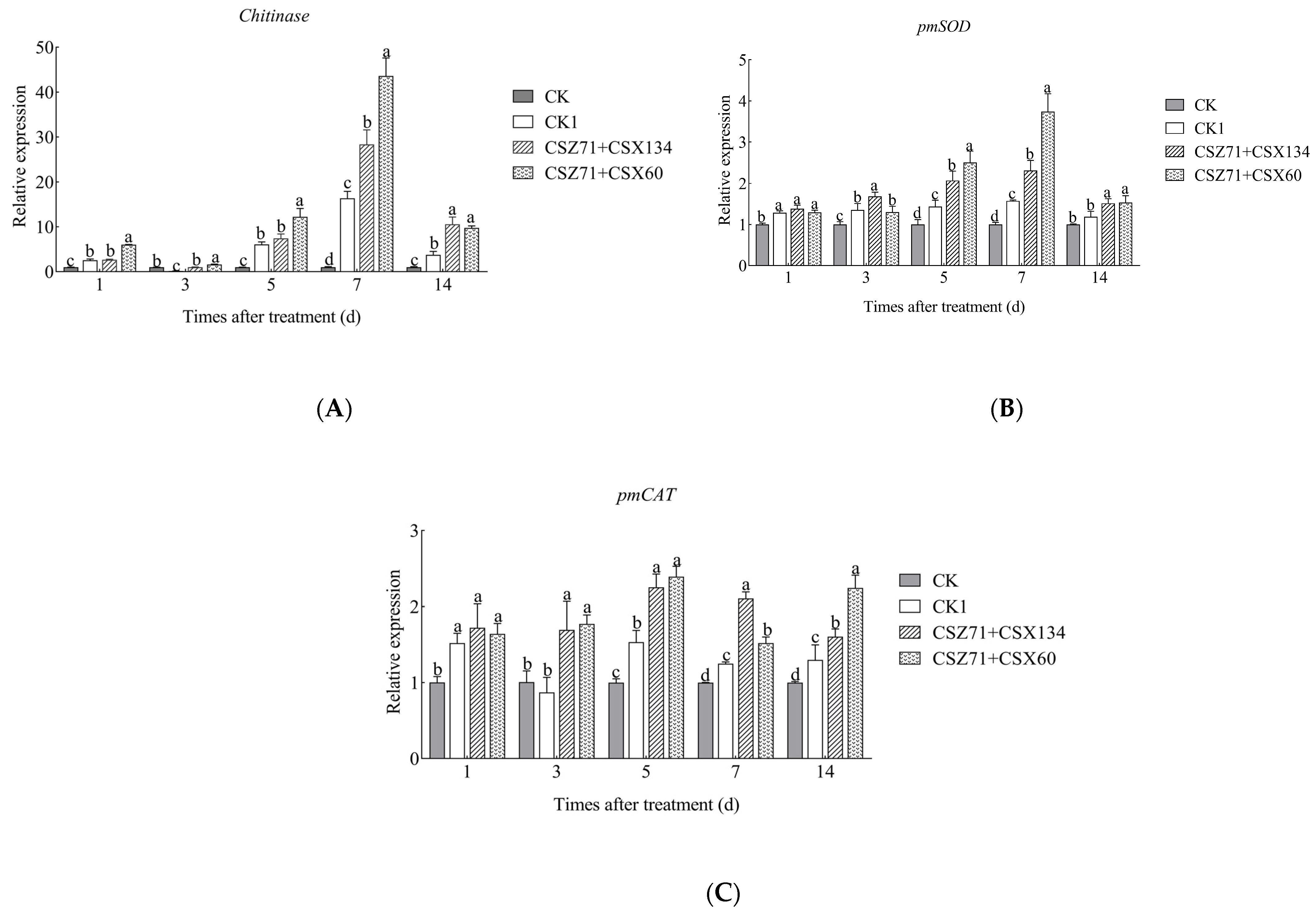 Microorganisms 13 00790 g010