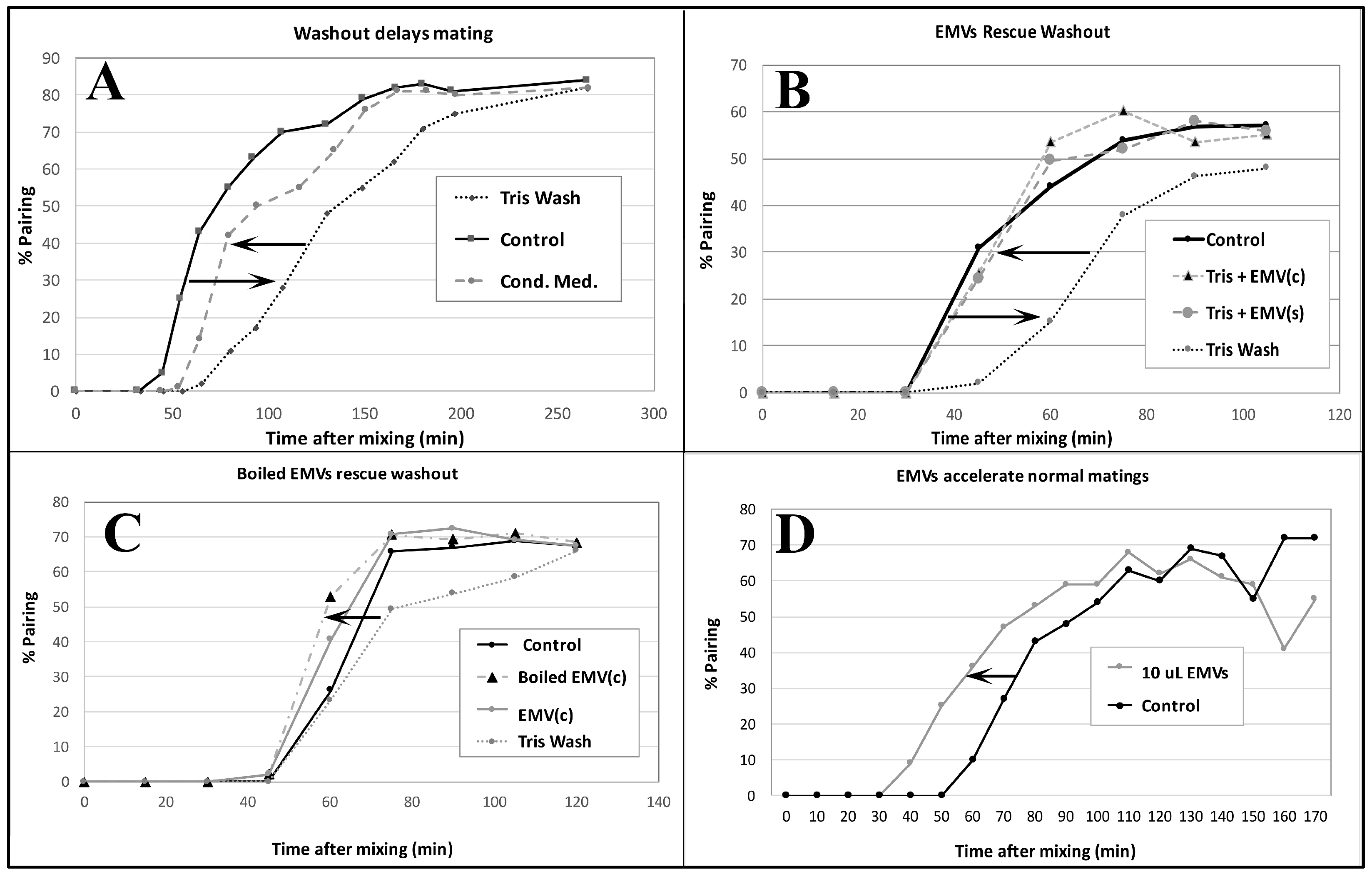 Microorganisms 13 00803 g007