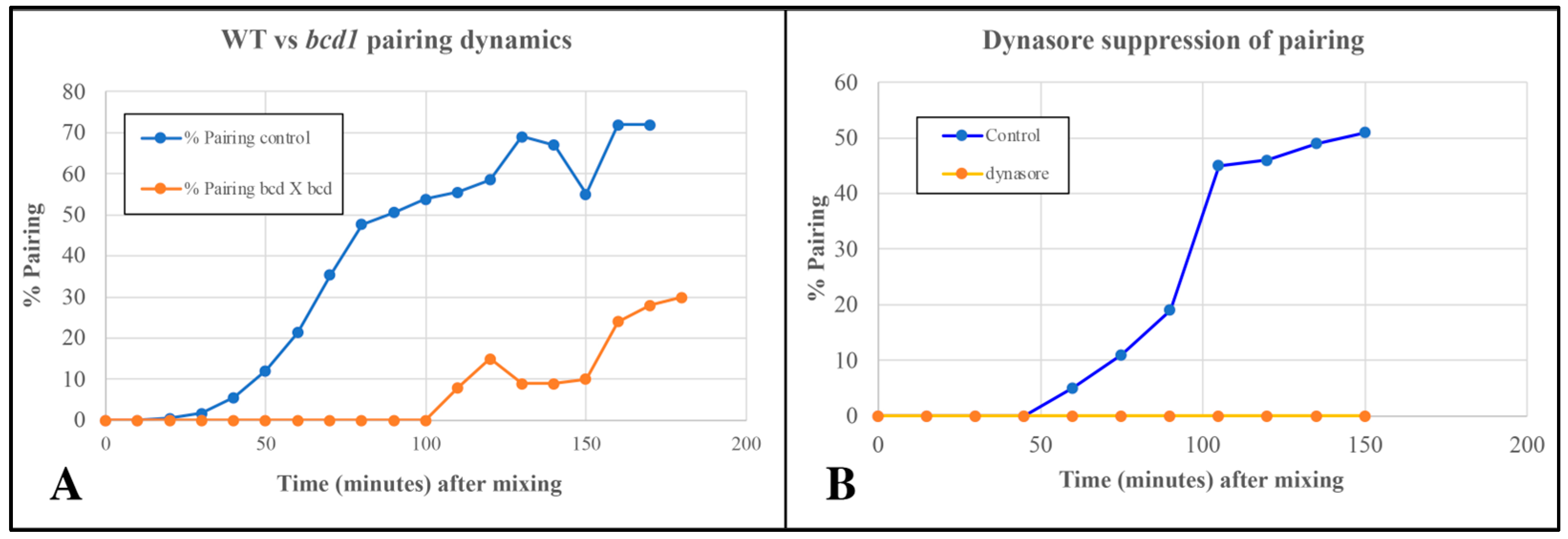 Microorganisms 13 00803 g008