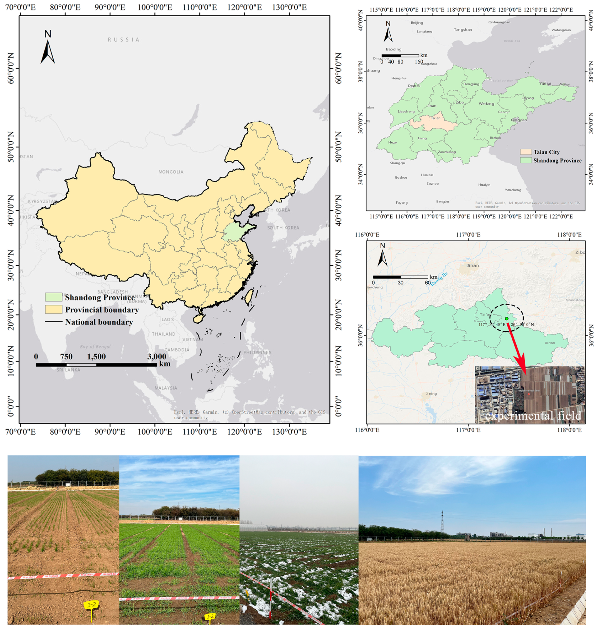 Microorganisms 13 00806 g001