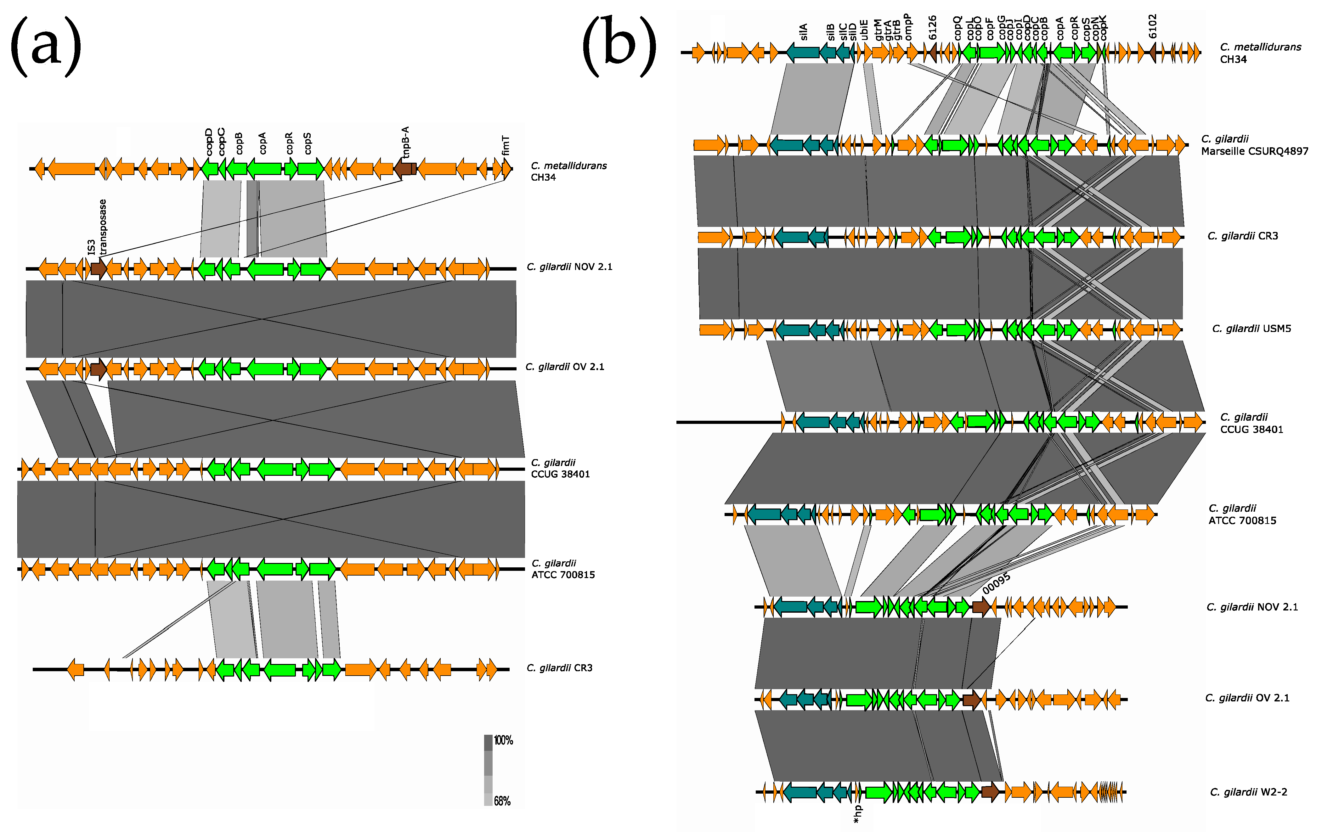 Microorganisms 13 00809 g005