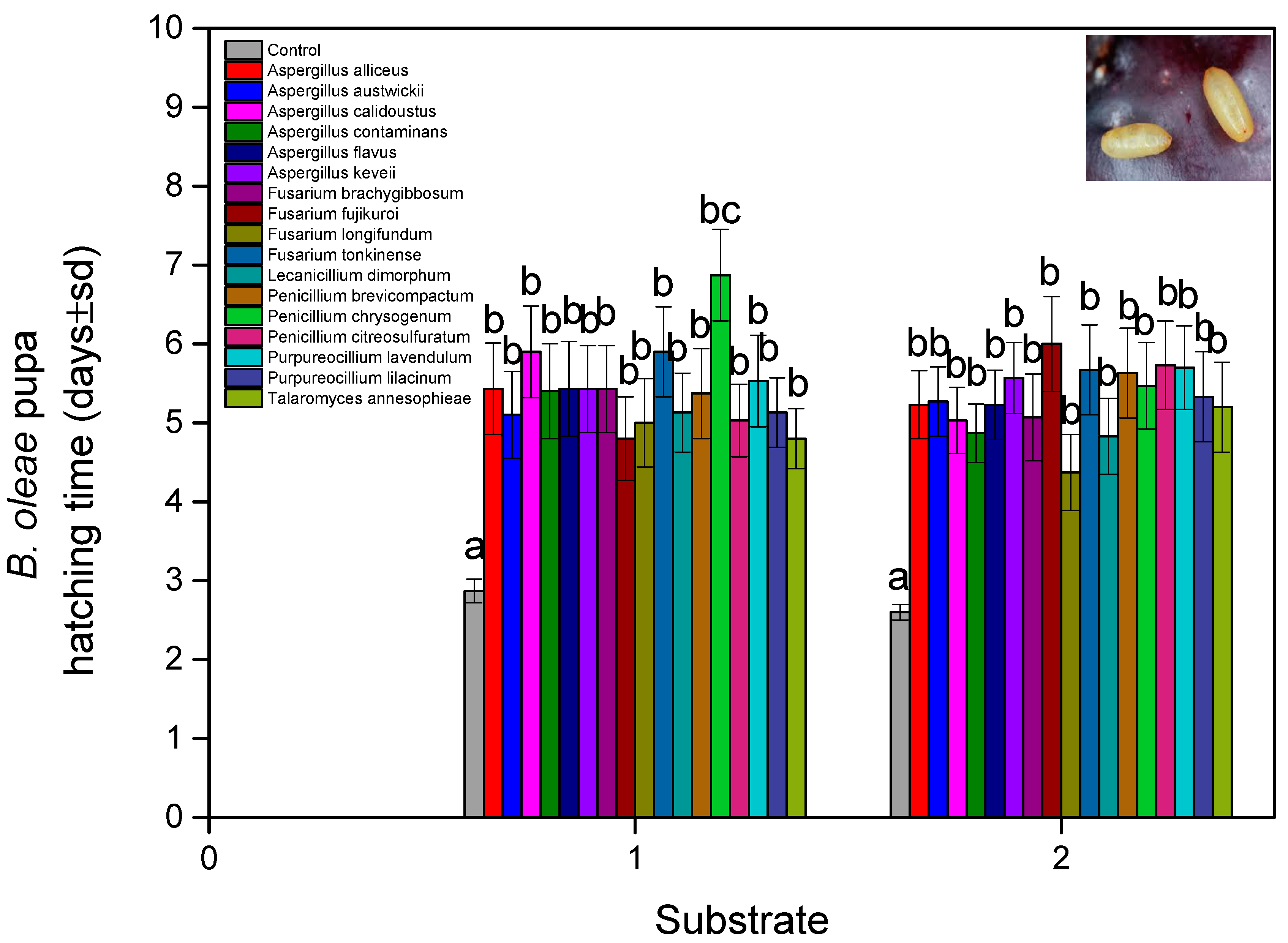 Microorganisms 13 00811 g002
