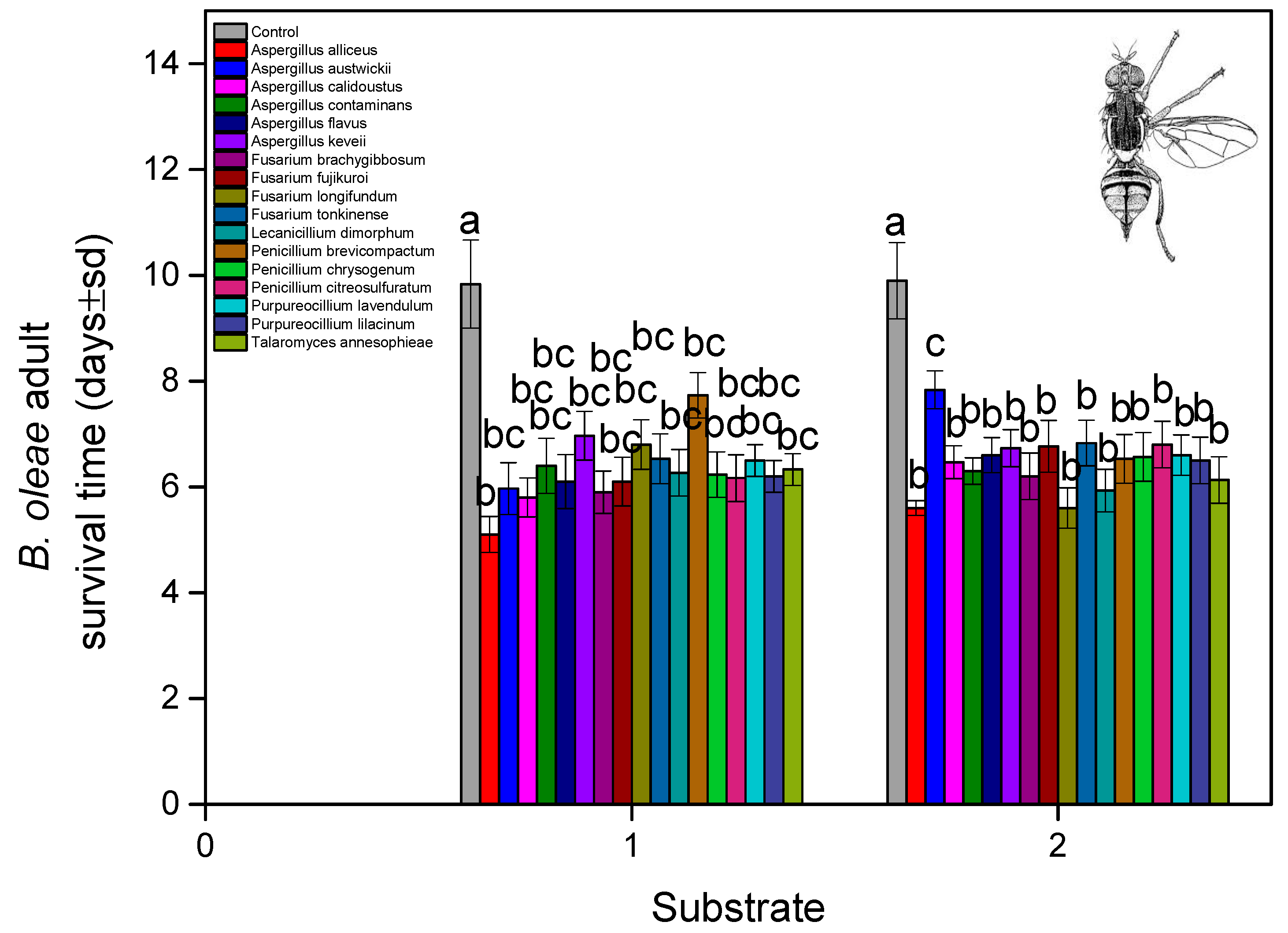 Microorganisms 13 00811 g005