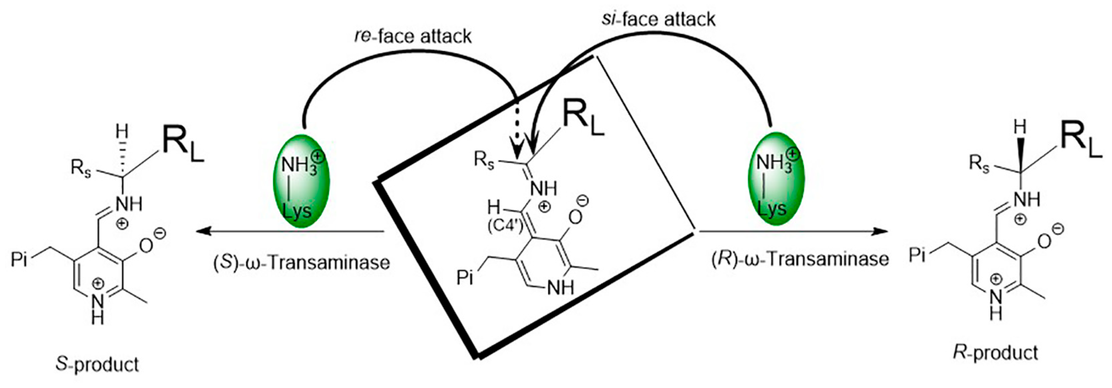 Microorganisms 13 00820 g004