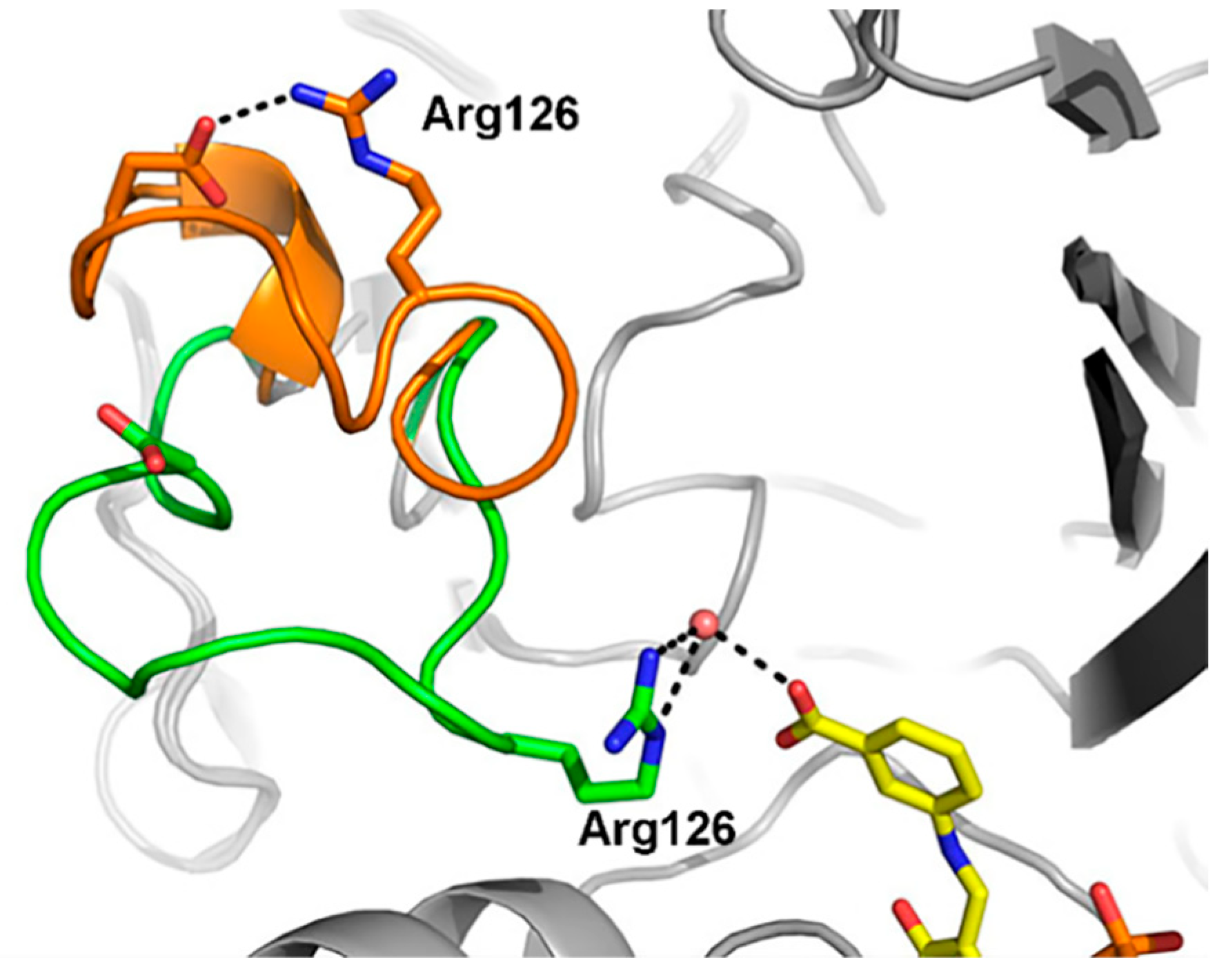 Microorganisms 13 00820 g005