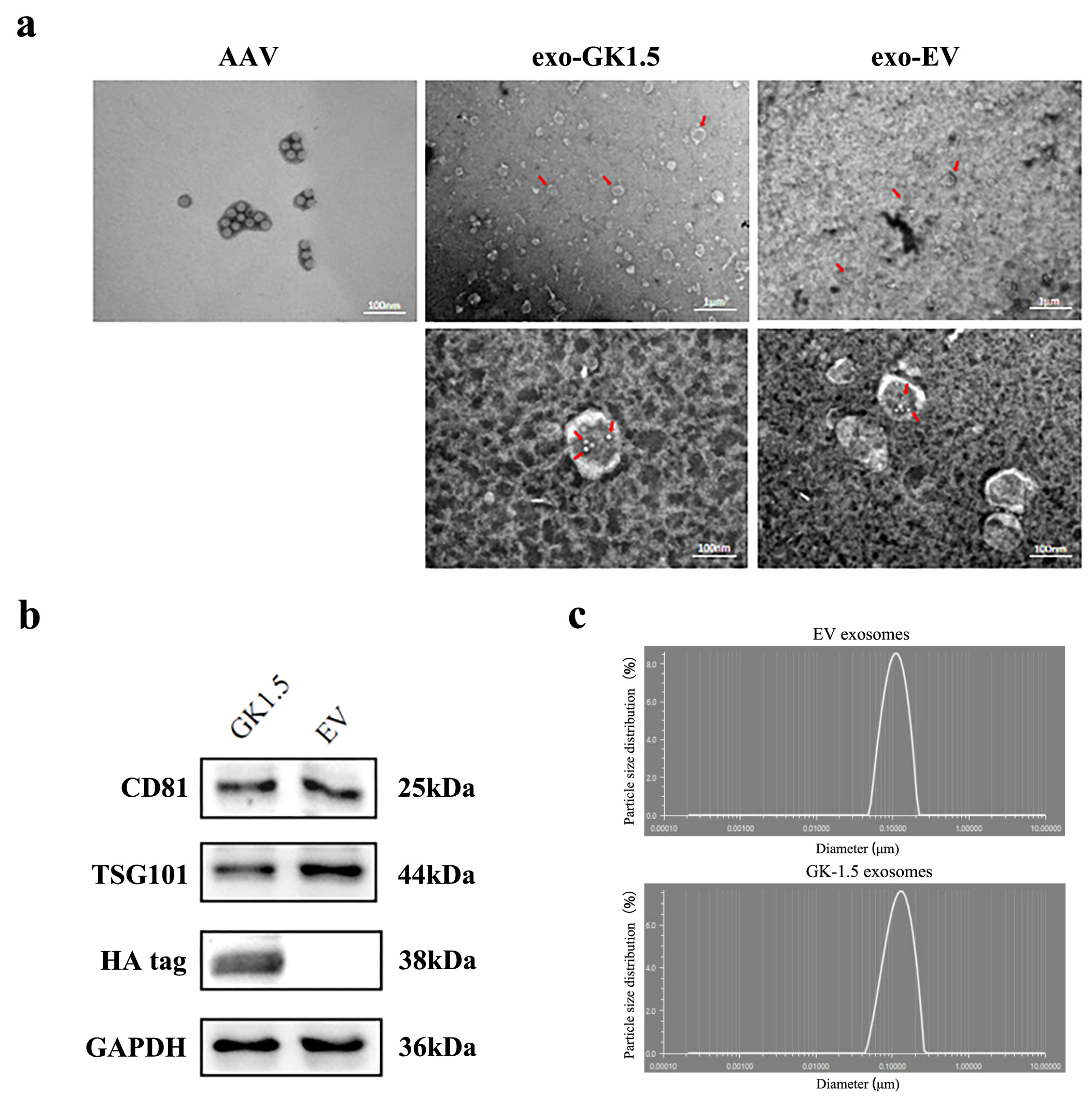 Microorganisms 13 00823 g002