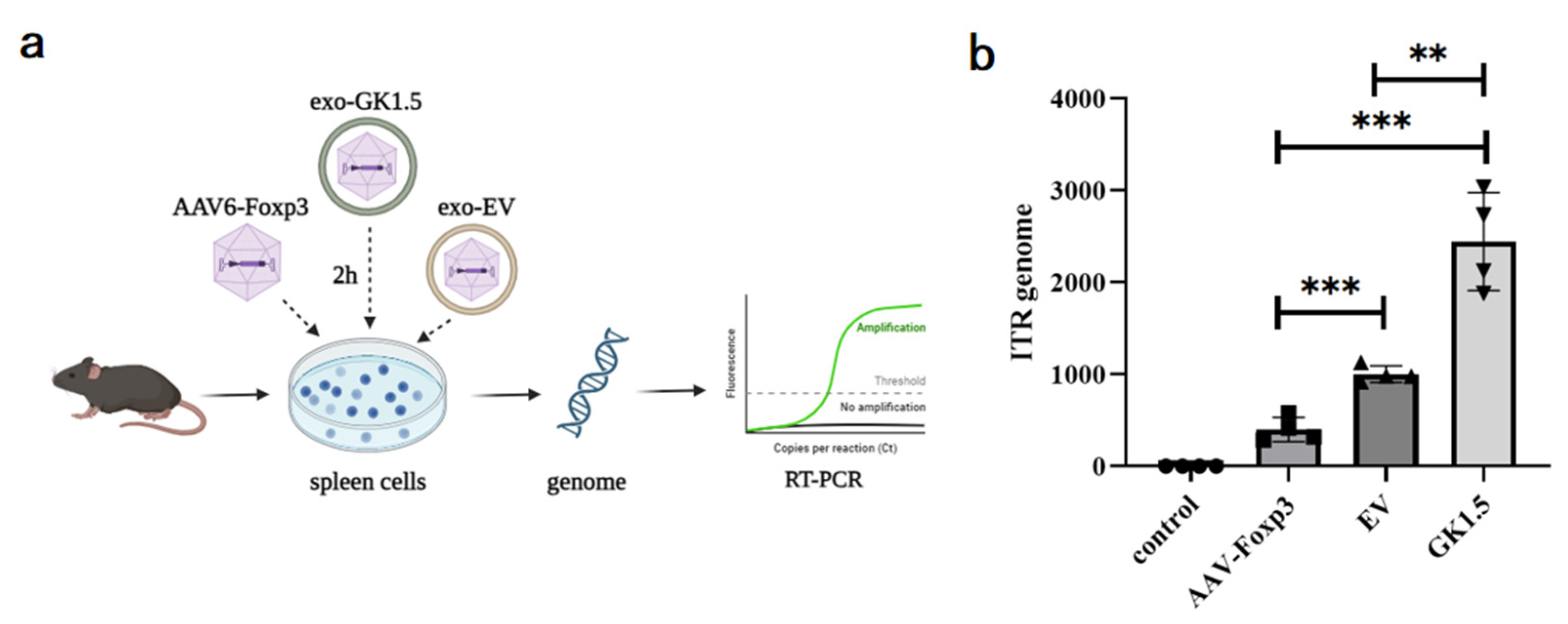 Microorganisms 13 00823 g003